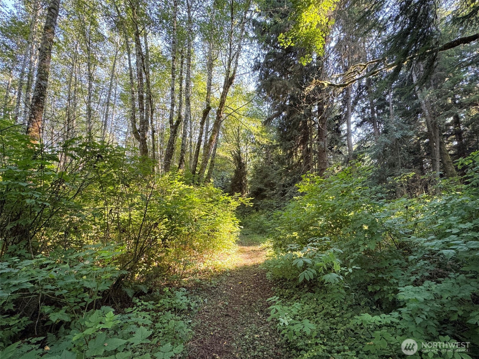 999 W Dew Knot Enter Road Property Photo 28