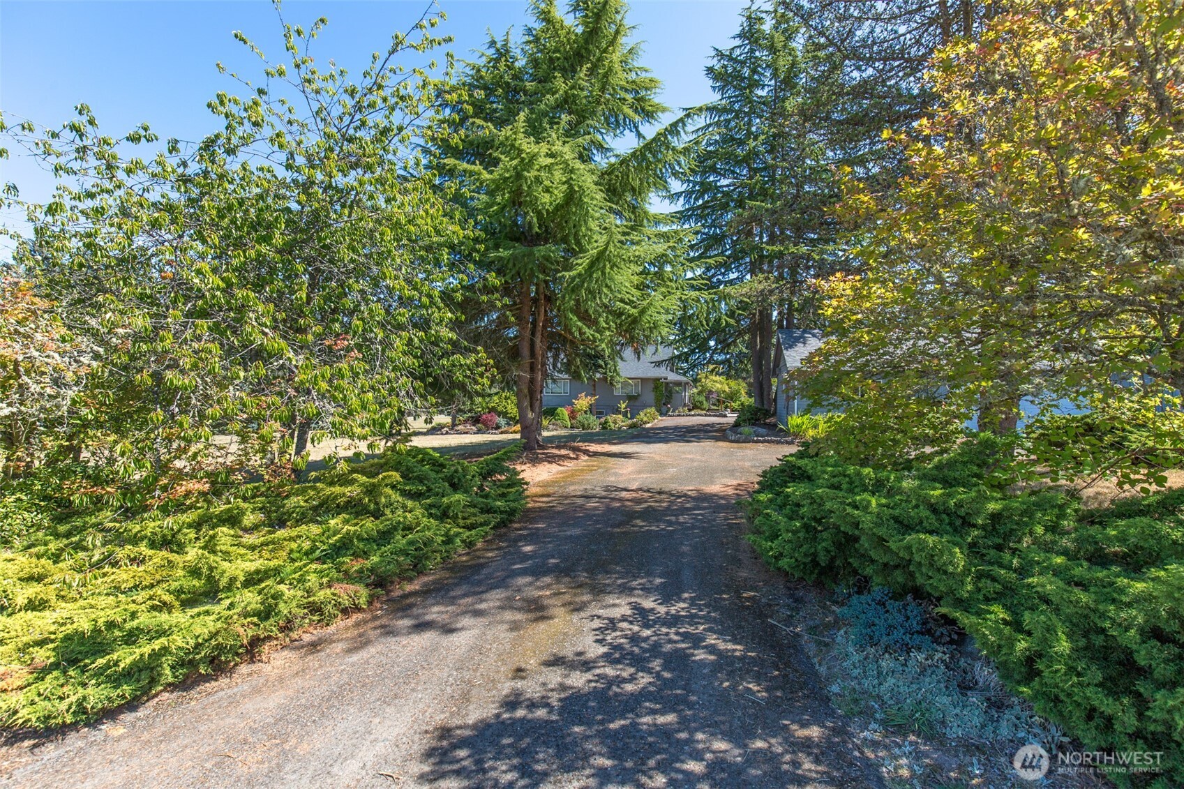 31 Mcfarland Drive Property Photo 2