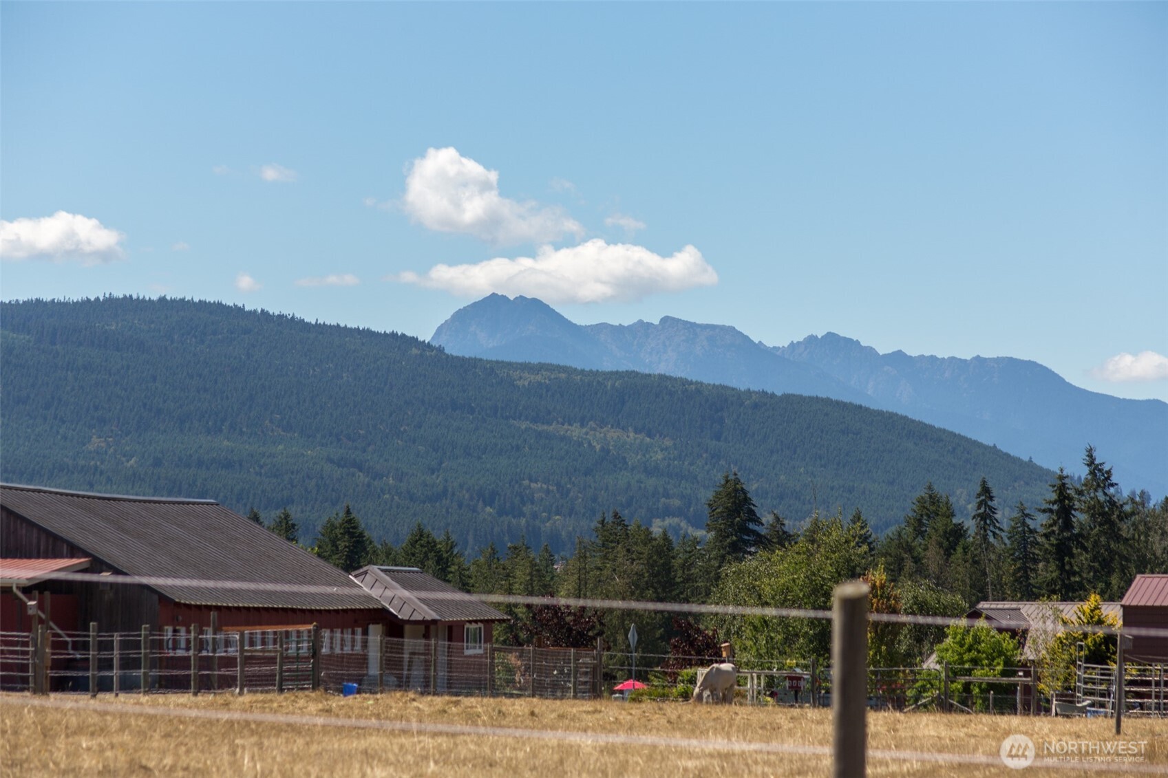 31 Mcfarland Drive Property Photo 8
