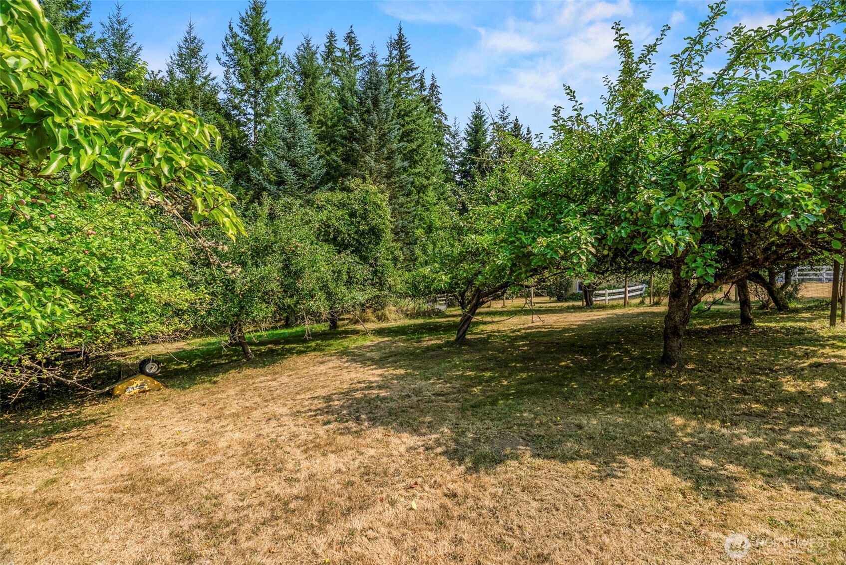 891 Young Road Property Photo 34