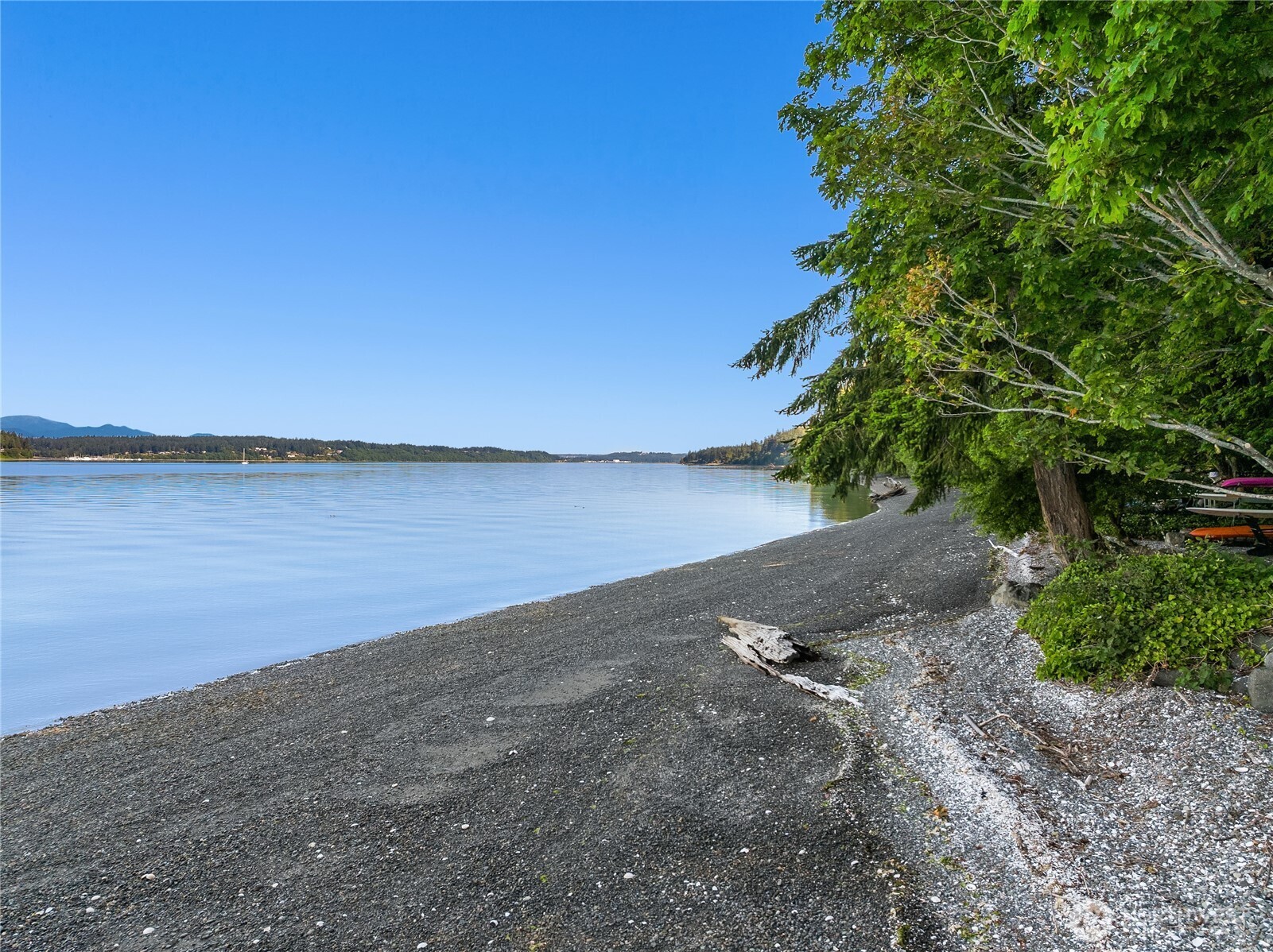 7733 Hansen Road Property Photo 39