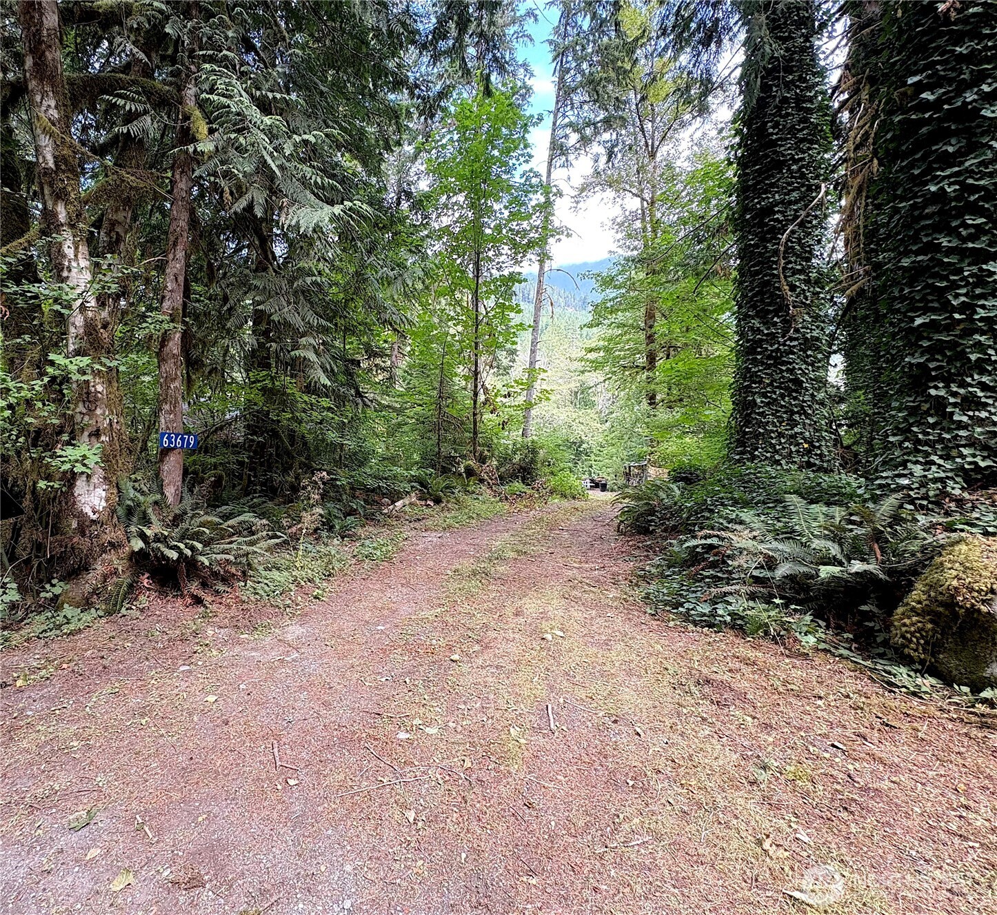 63679 Marblemount Way Property Photo 4