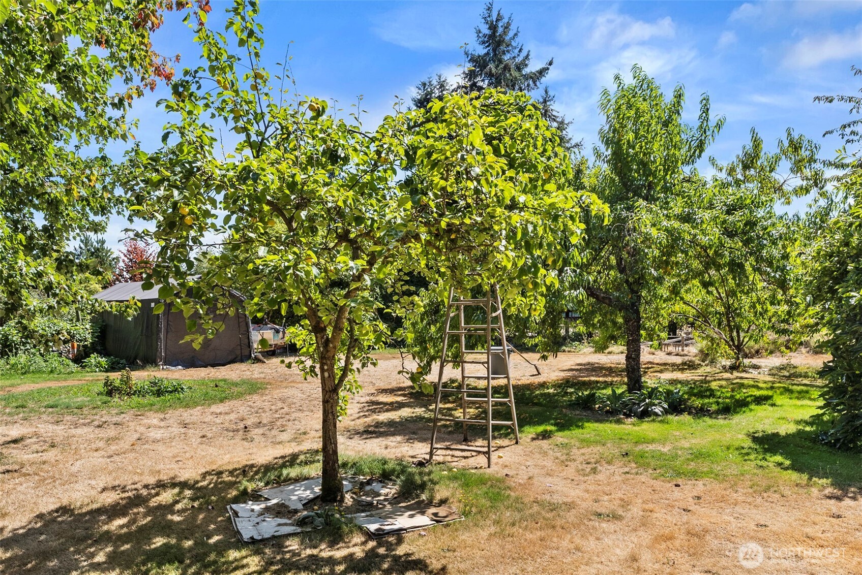 17642 Irwin Street Property Photo 29