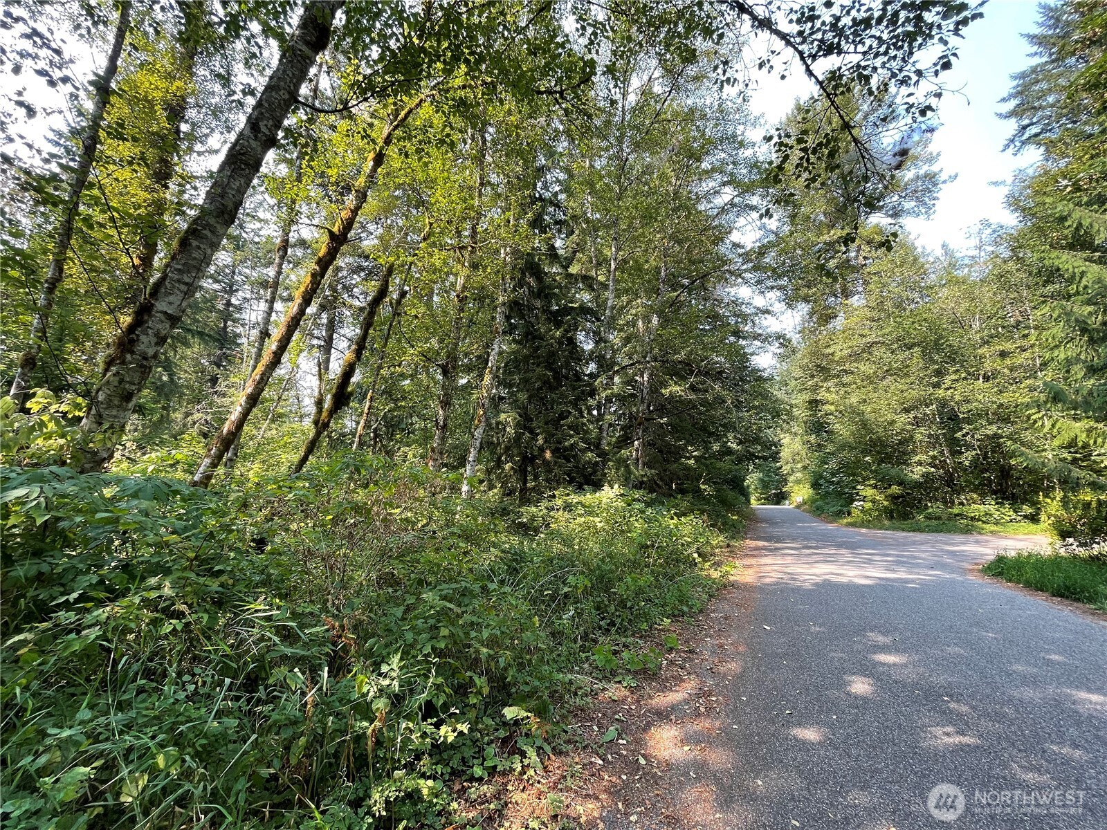 7521 Olsen Drive Property Photo 1
