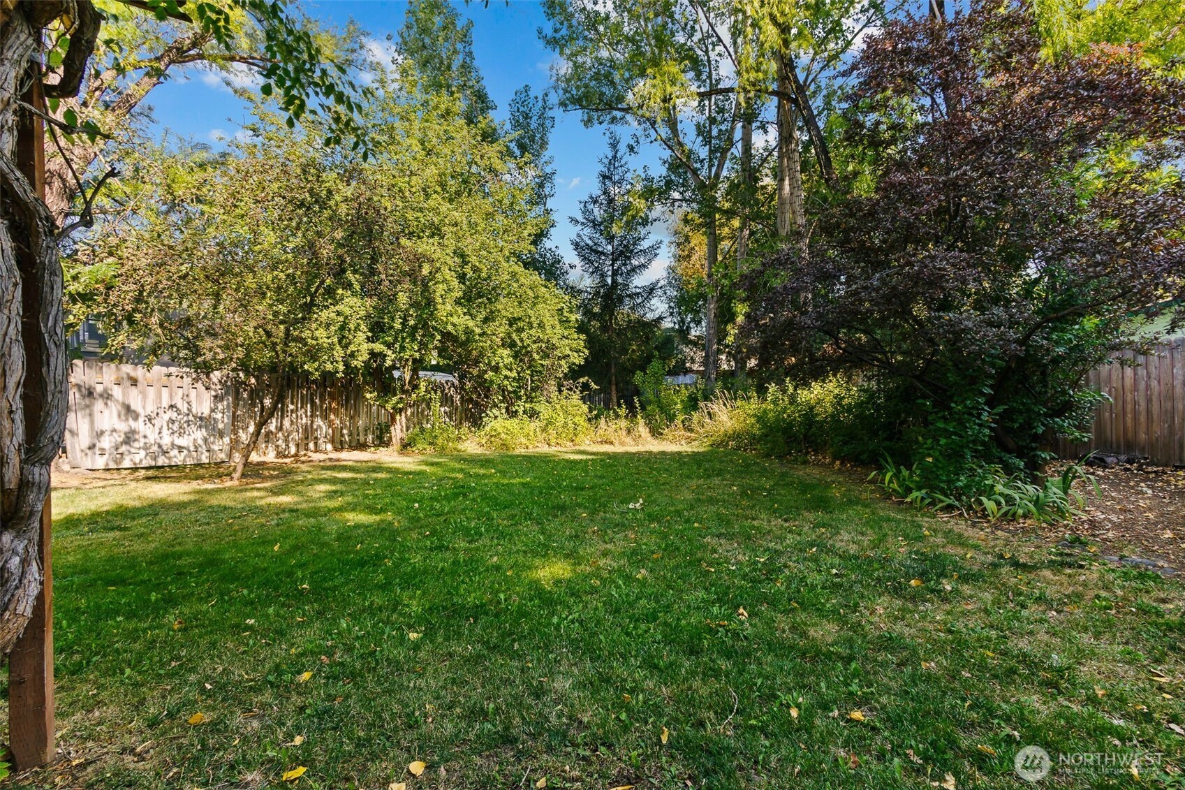 709 E White Birch Avenue Property Photo 20