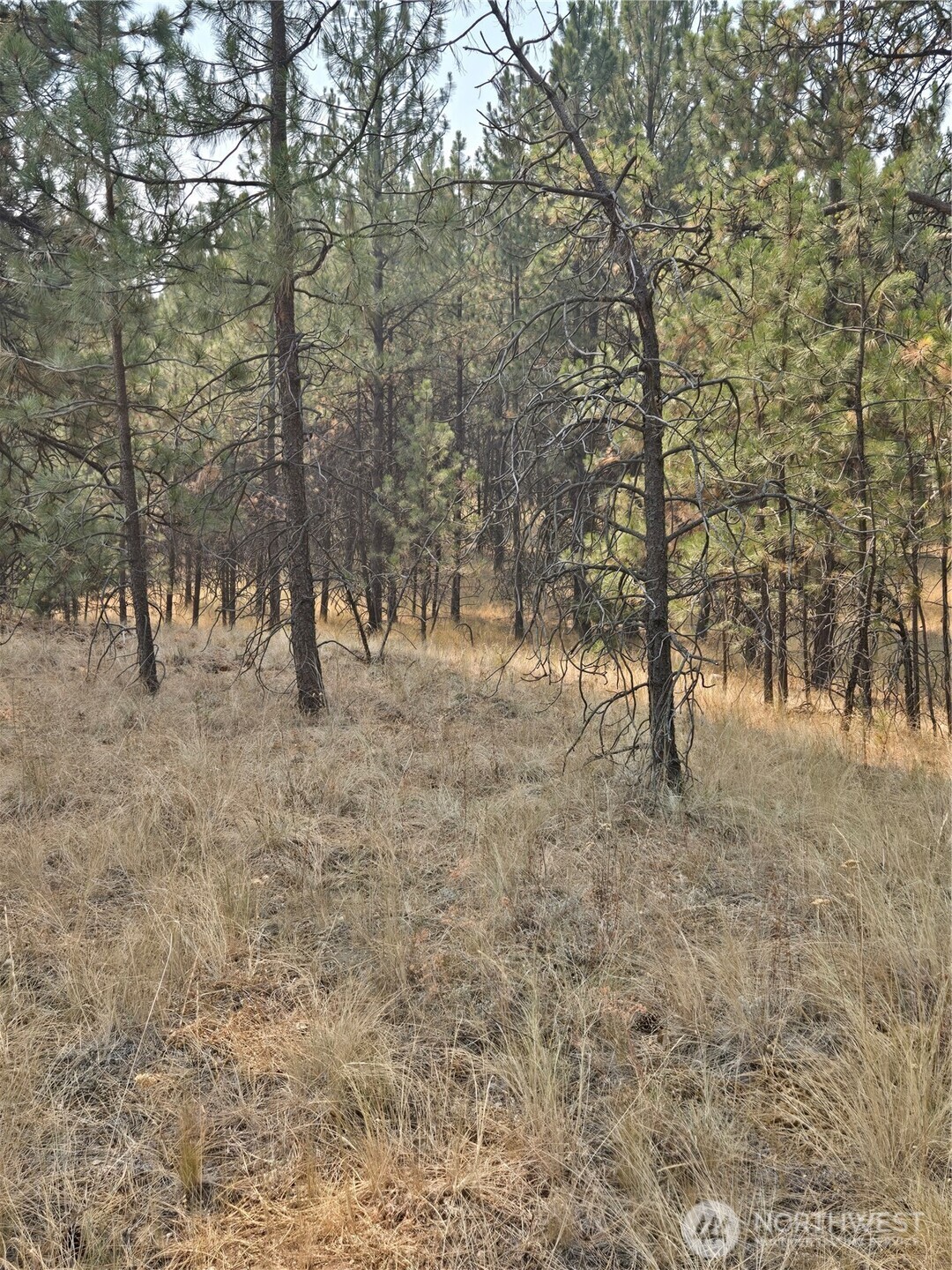 0 Tbd Turner Lake Road Property Photo 6