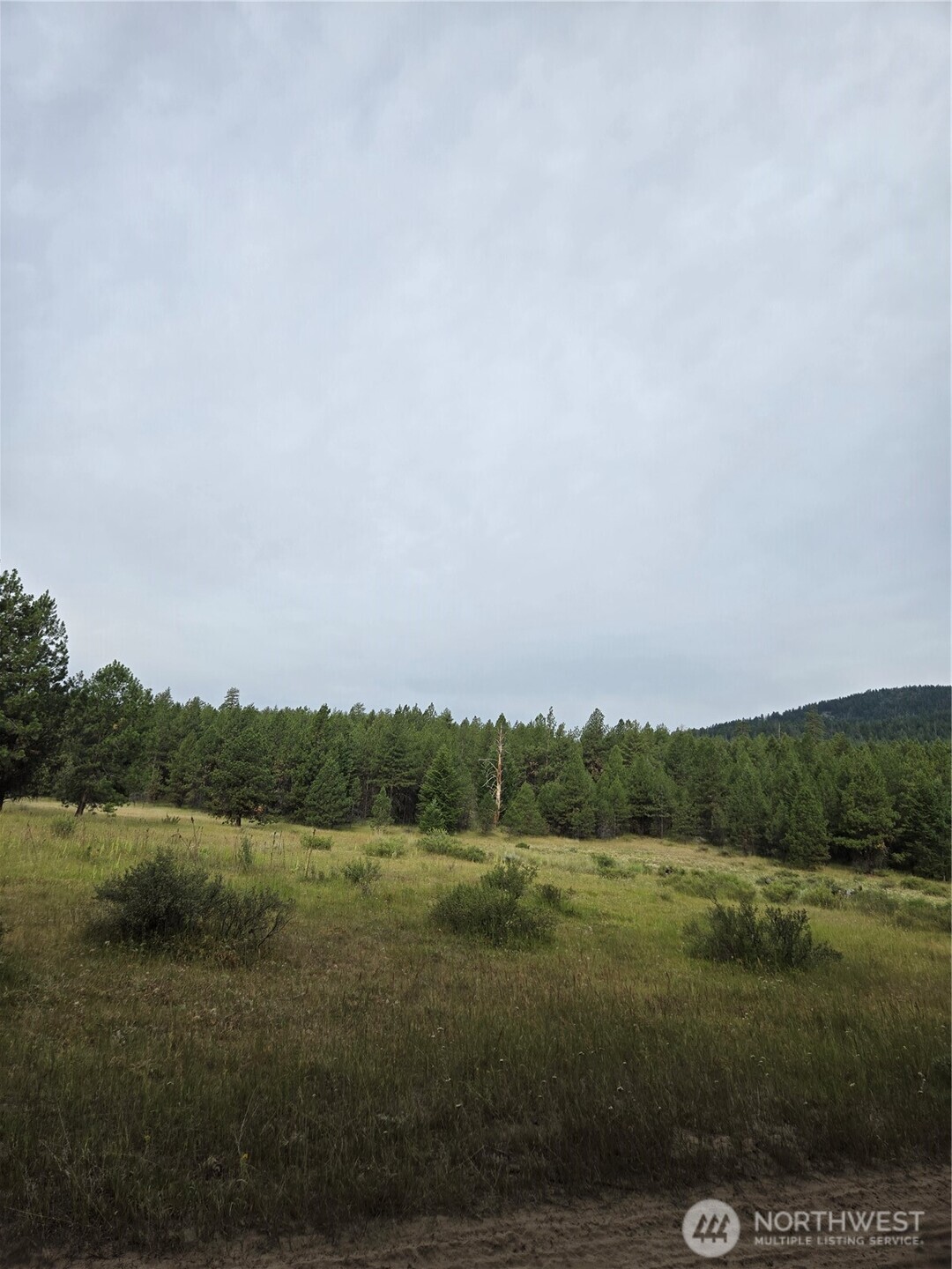 0 Tbd Turner Lake Road Property Photo 3
