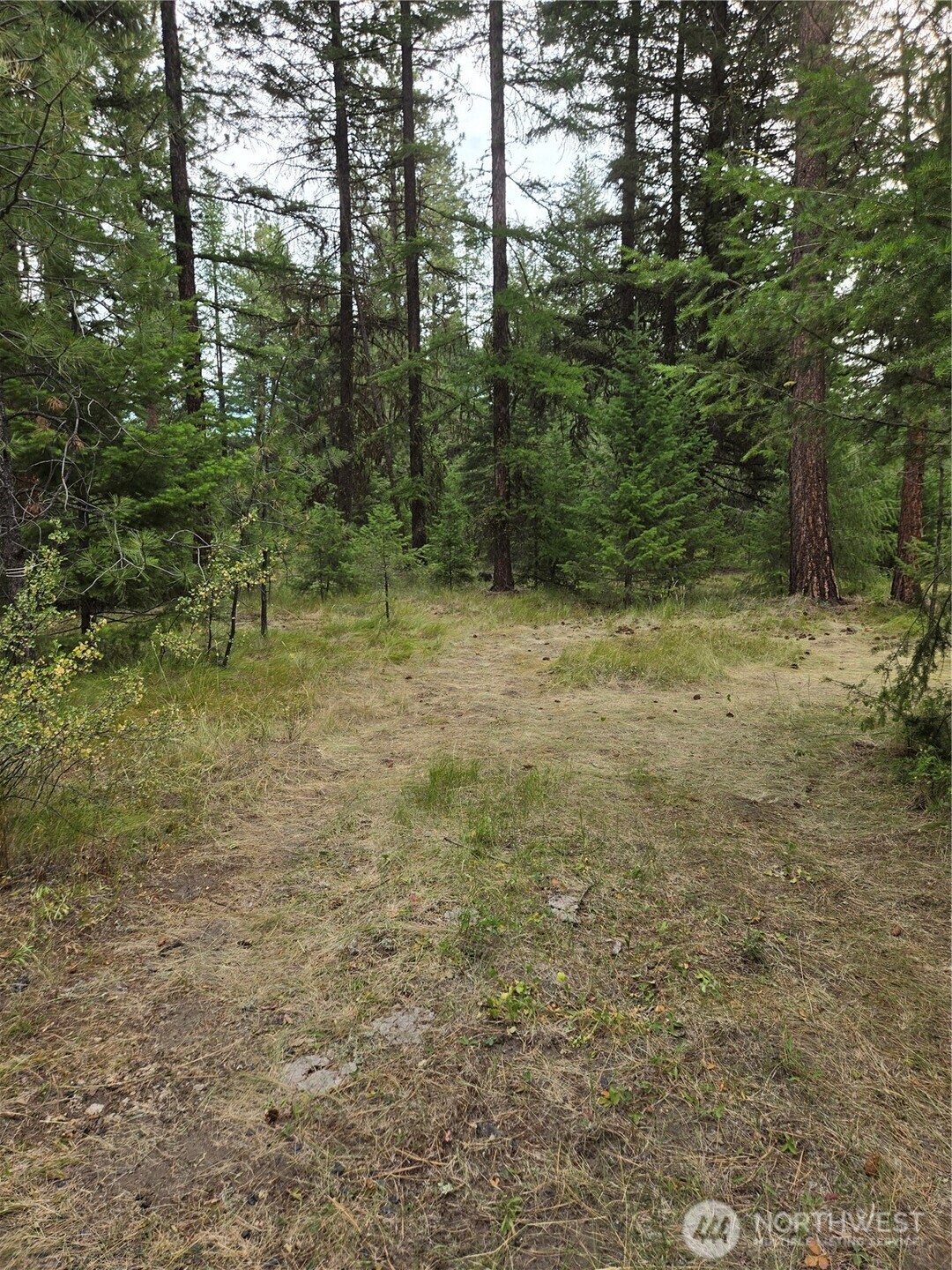 0 Tbd Turner Lake Road Property Photo 4