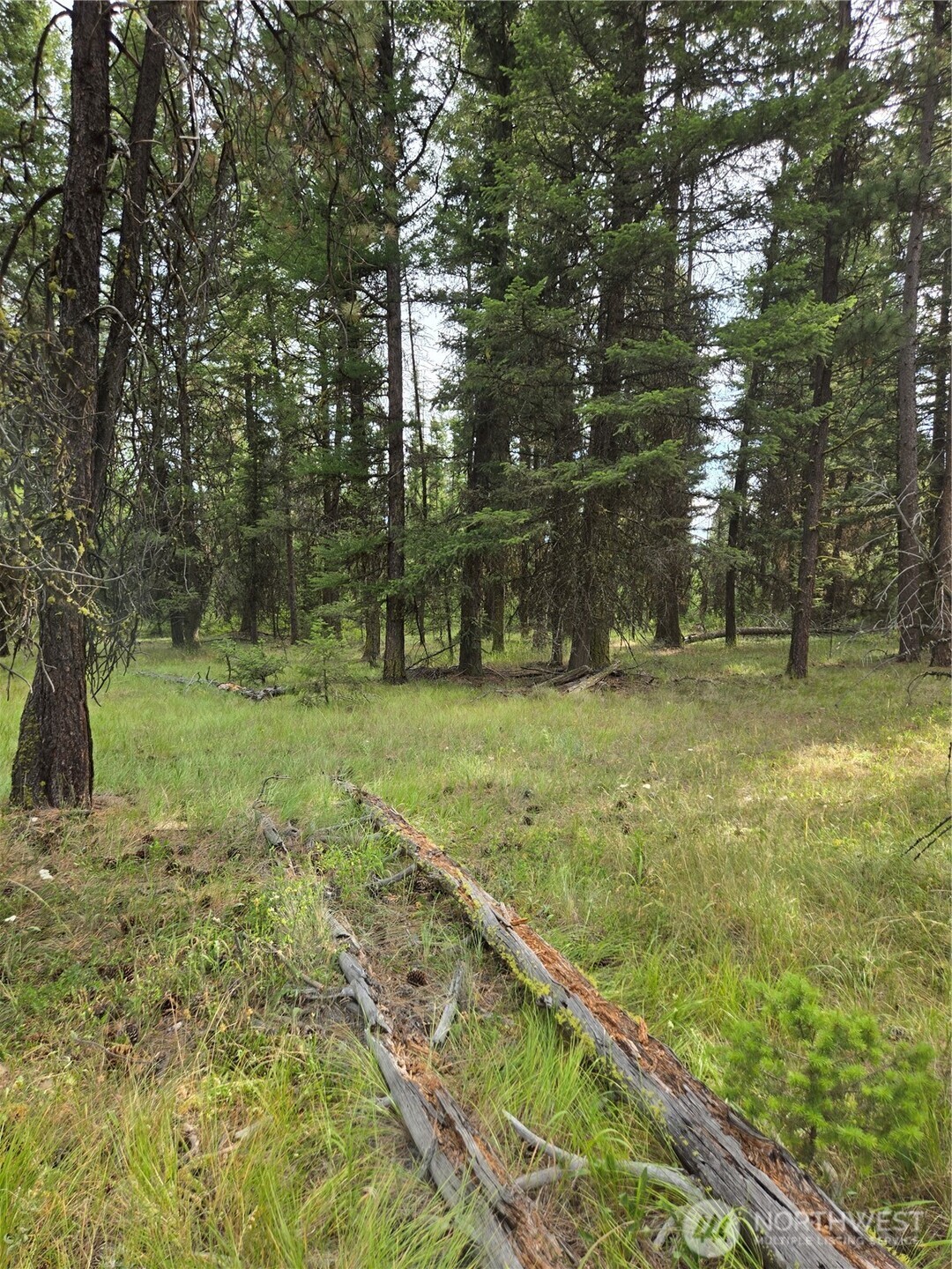 0 Tbd Turner Lake Road Property Photo 6