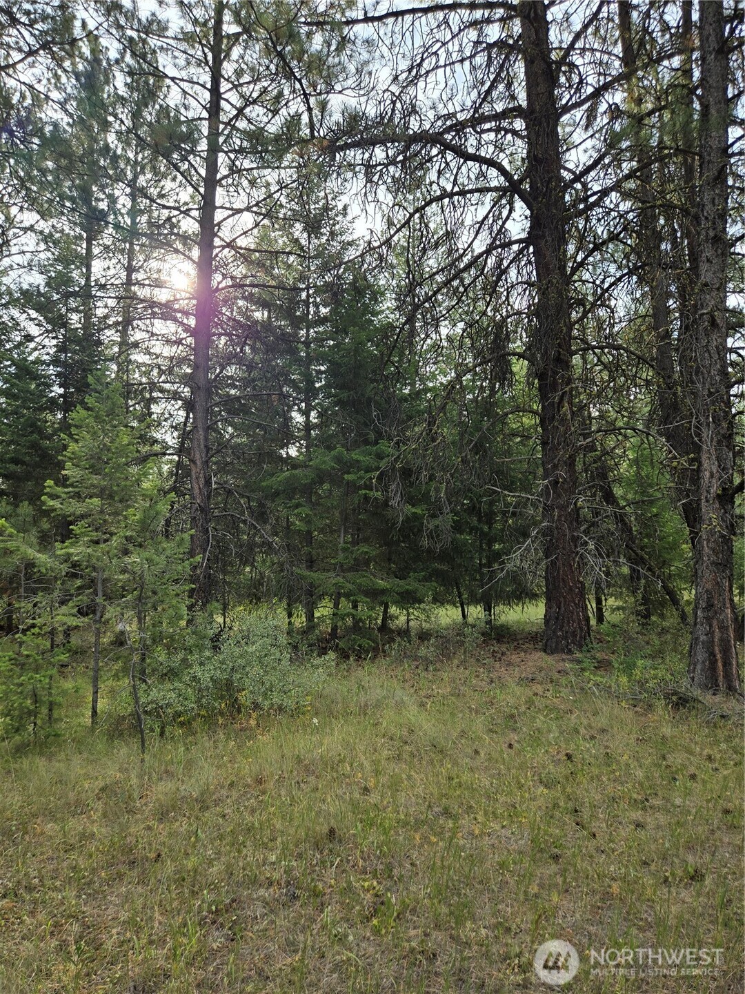 0 Tbd Turner Lake Road Property Photo 8