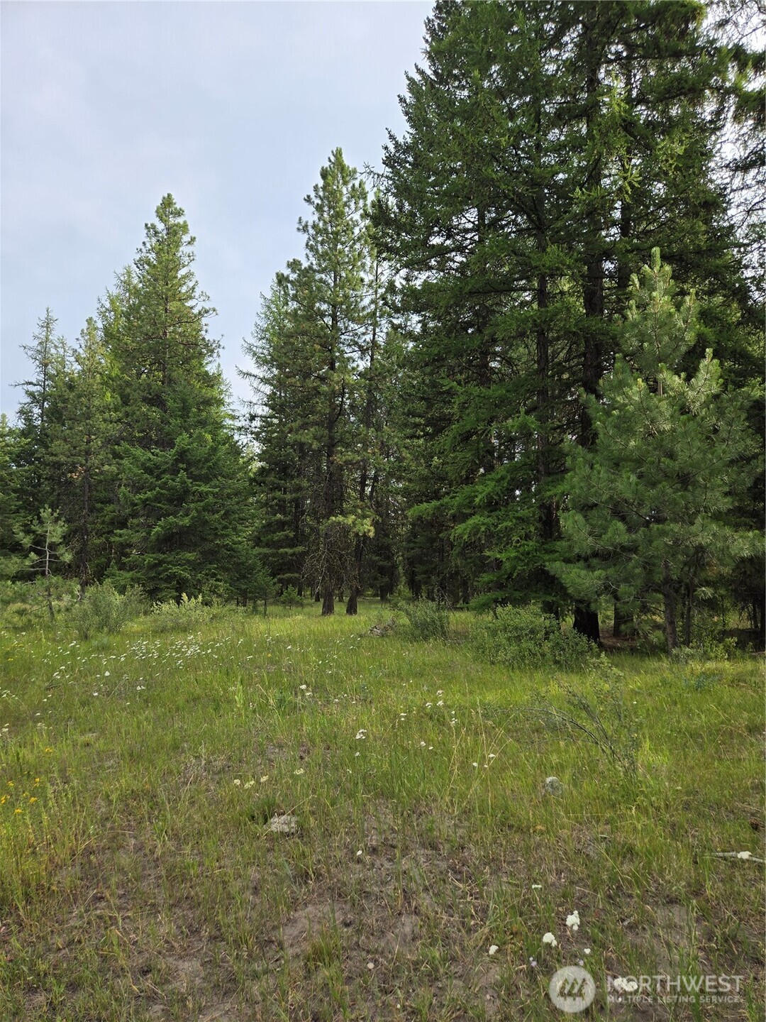 0 Tbd Turner Lake Road Property Photo 9