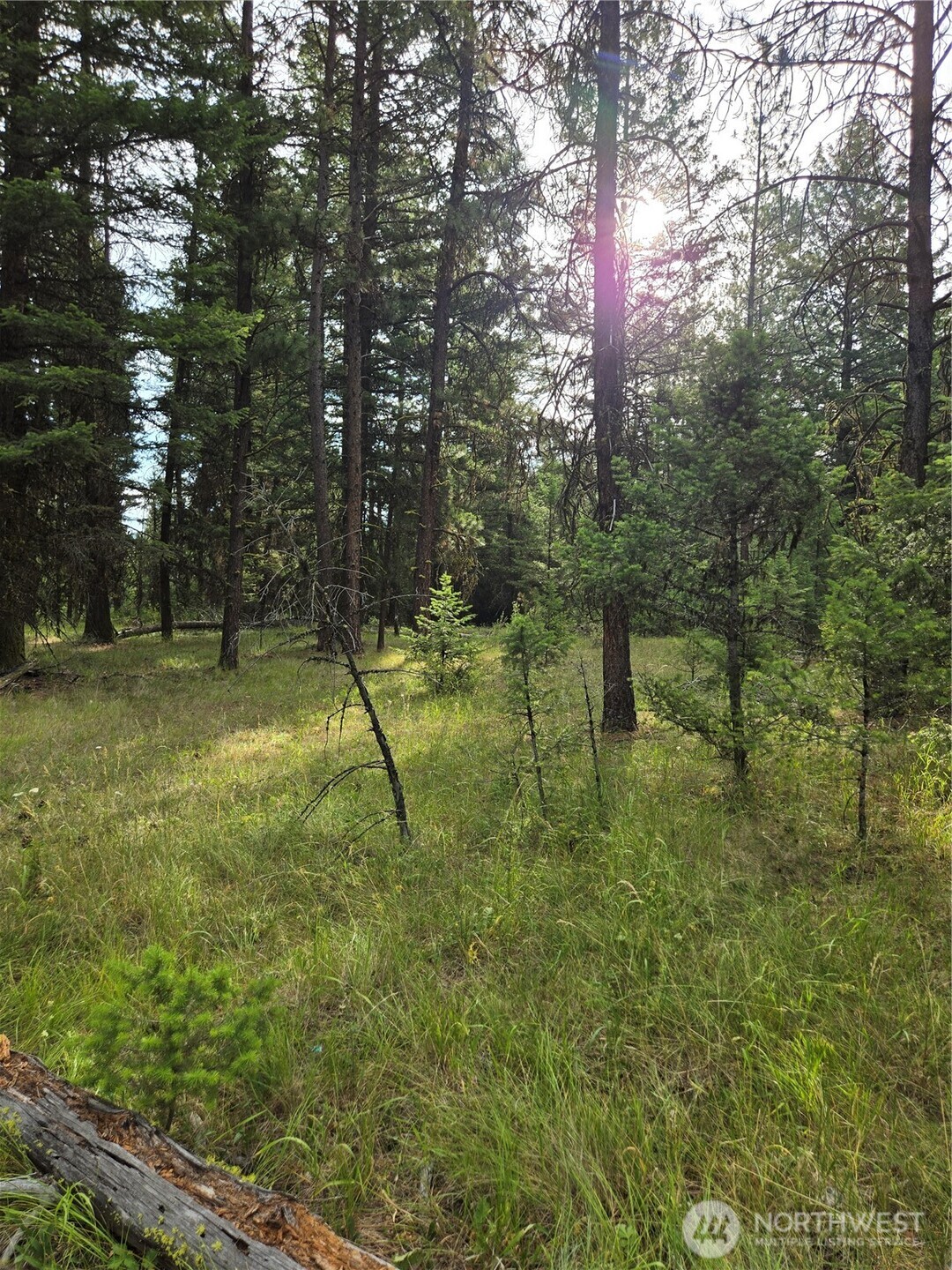 0 Tbd Turner Lake Road Property Photo 11