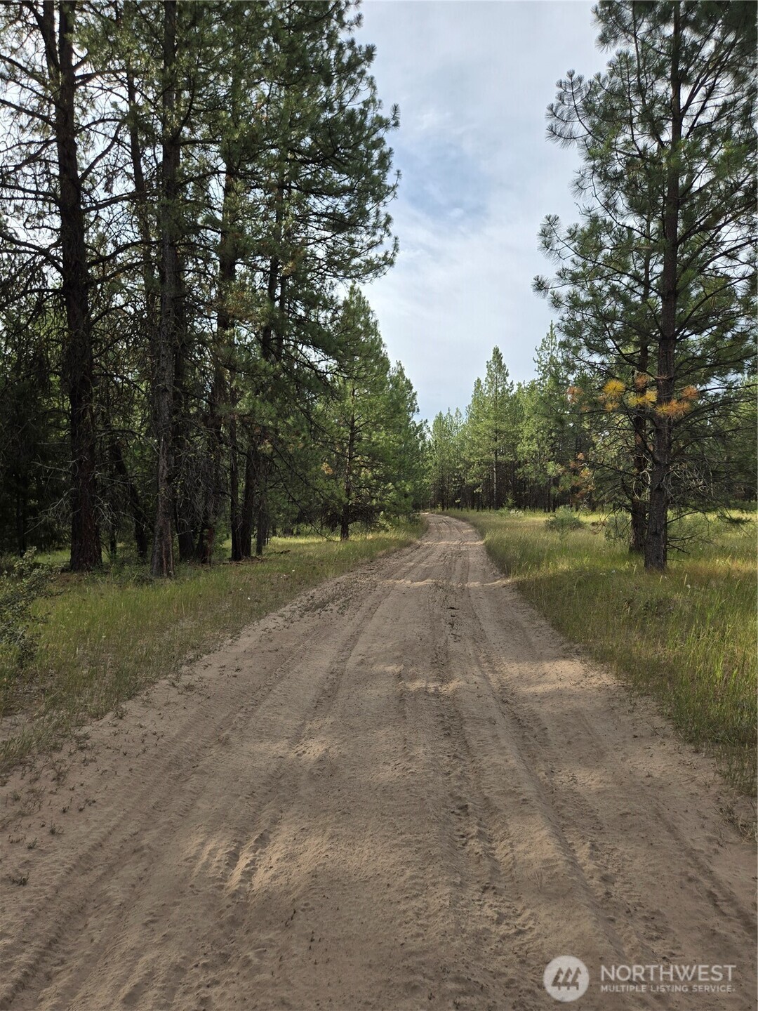 0 Tbd Turner Lake Road Property Photo 13