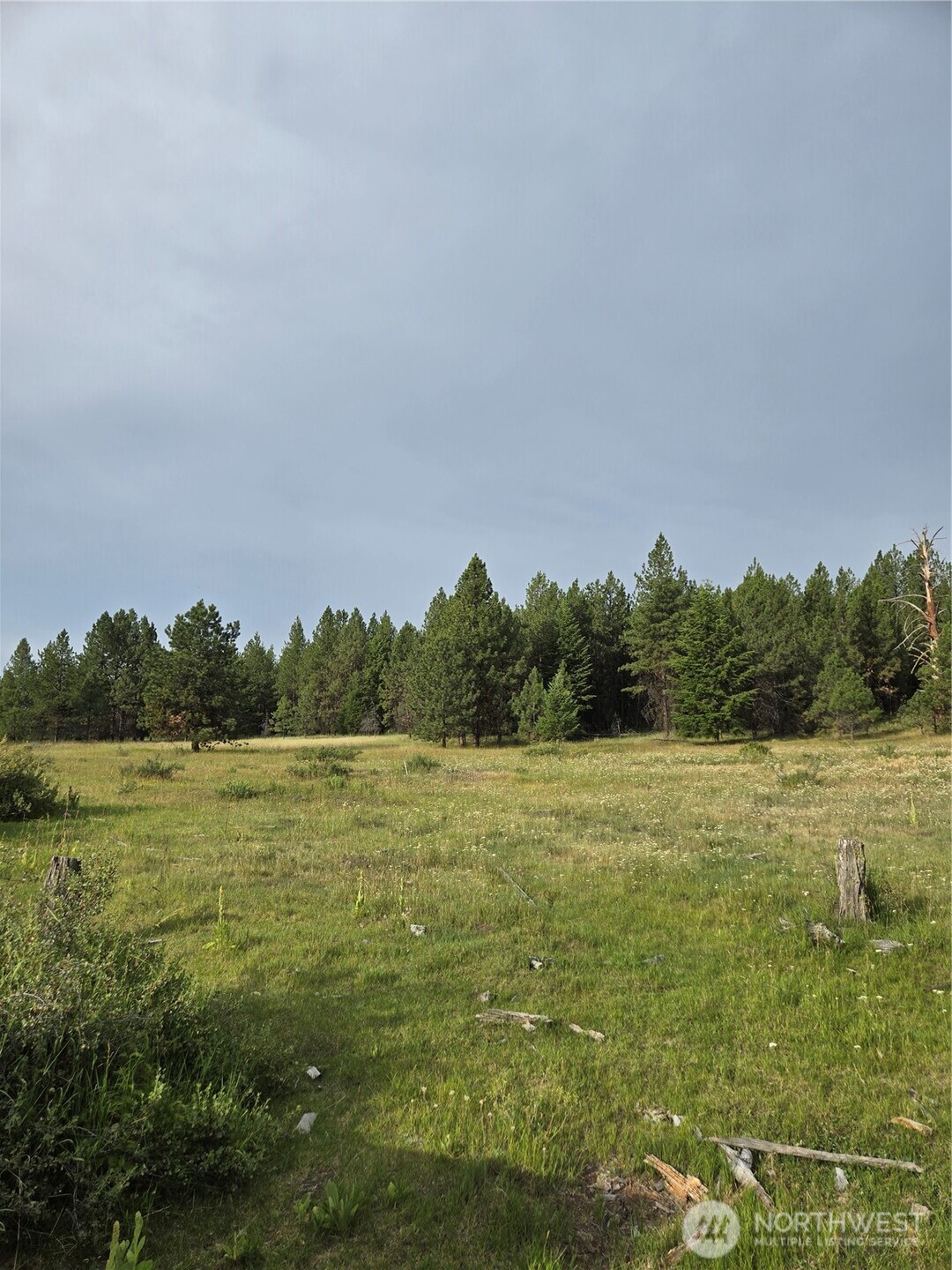 0 Tbd Turner Lake Road Property Photo 15