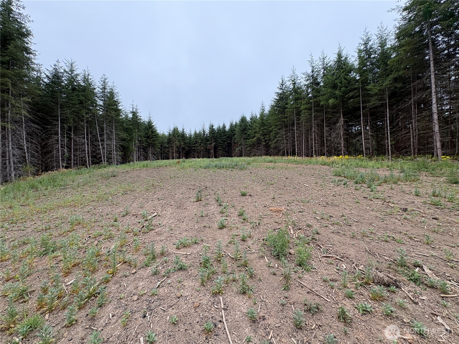 1161 Thimbleberry Drive Property Photo 1