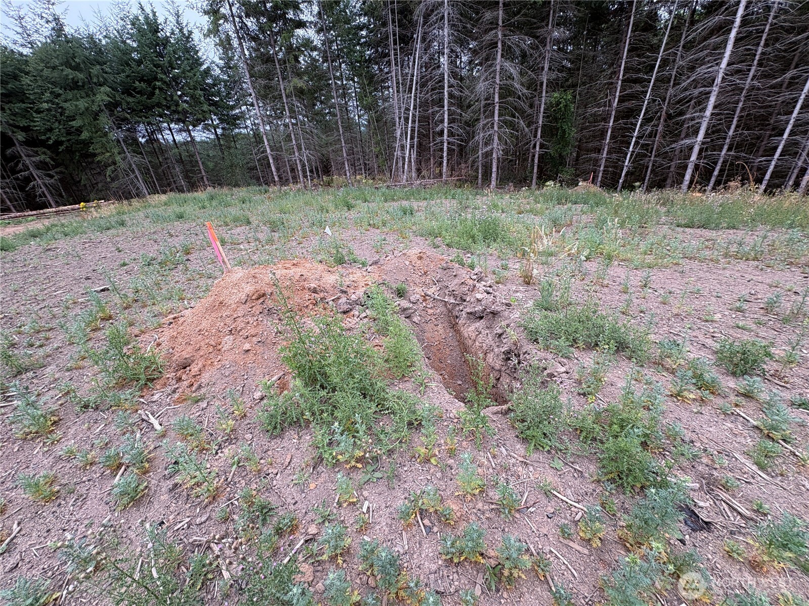 1161 Thimbleberry Drive Property Photo 8