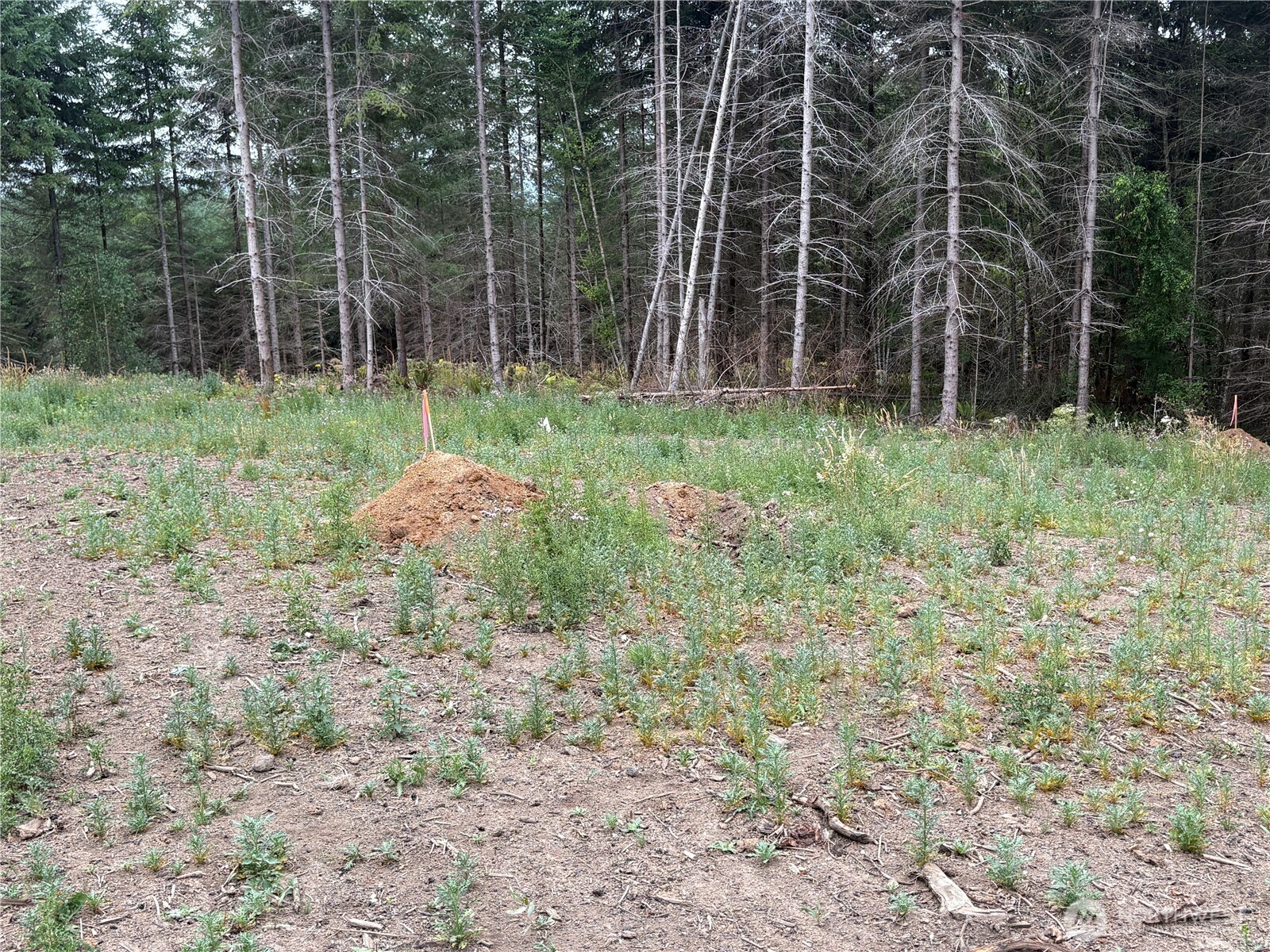1161 Thimbleberry Drive Property Photo 9