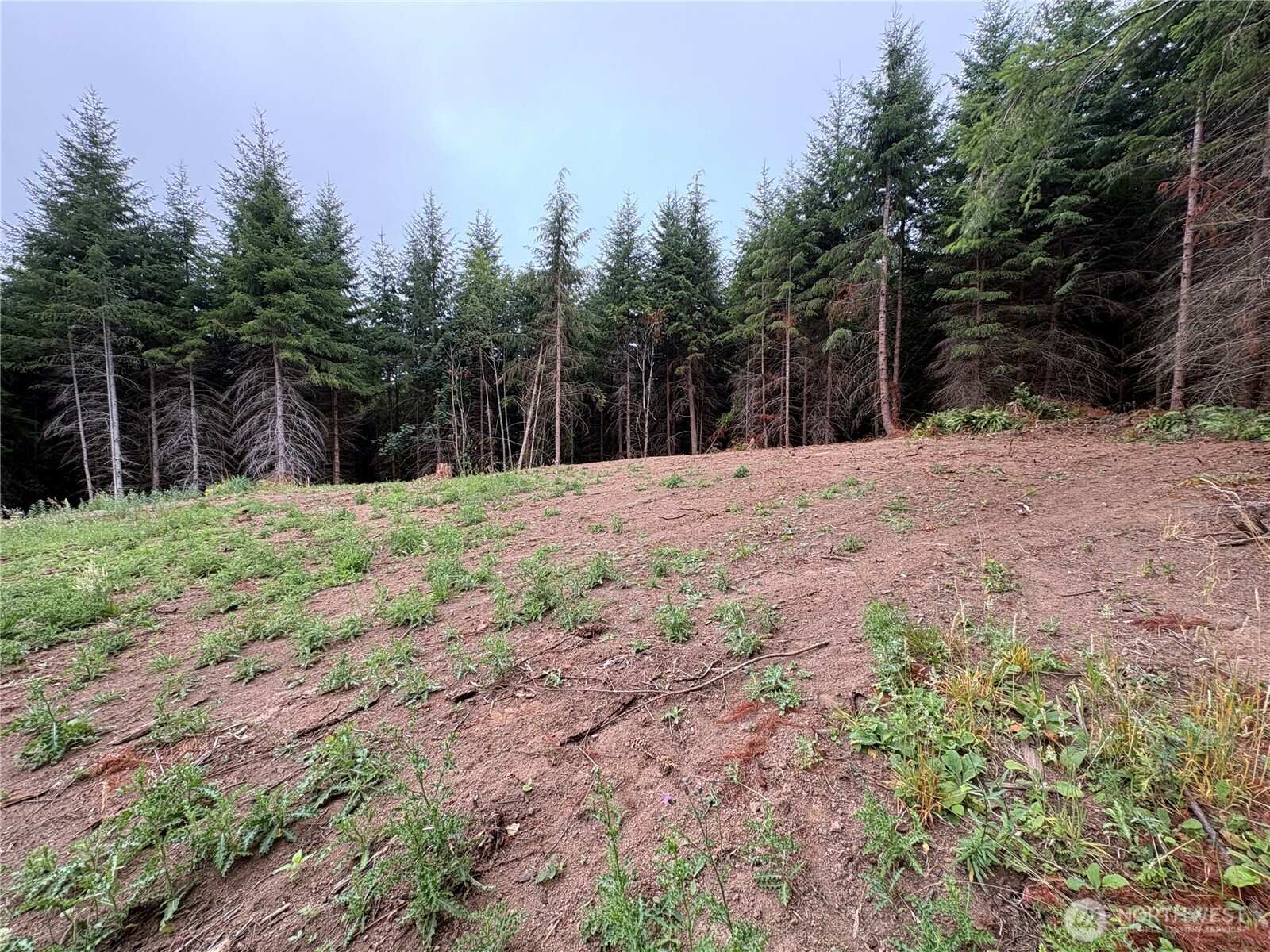 1161 Thimbleberry Drive Property Photo 10