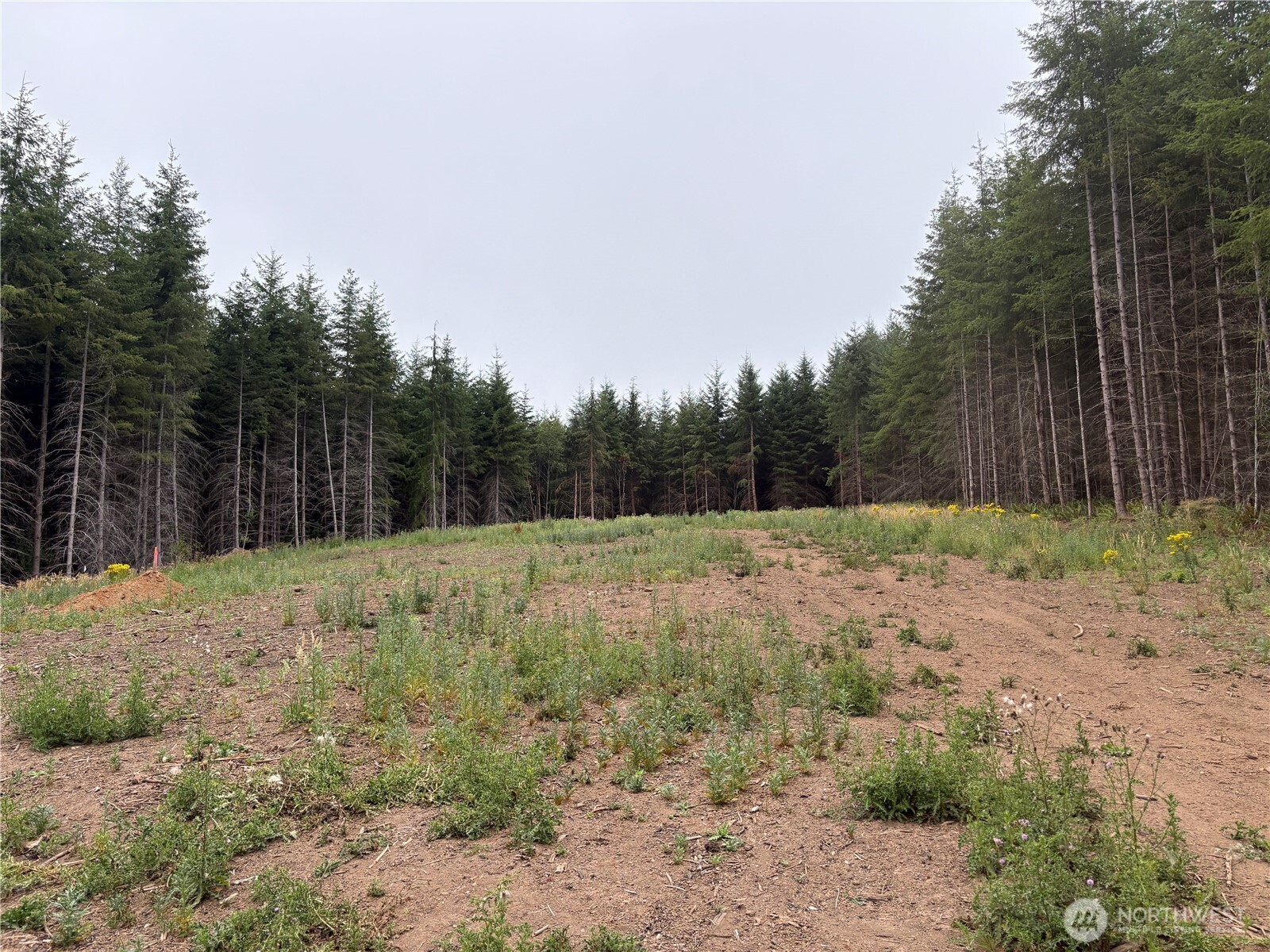 1161 Thimbleberry Drive Property Photo 13