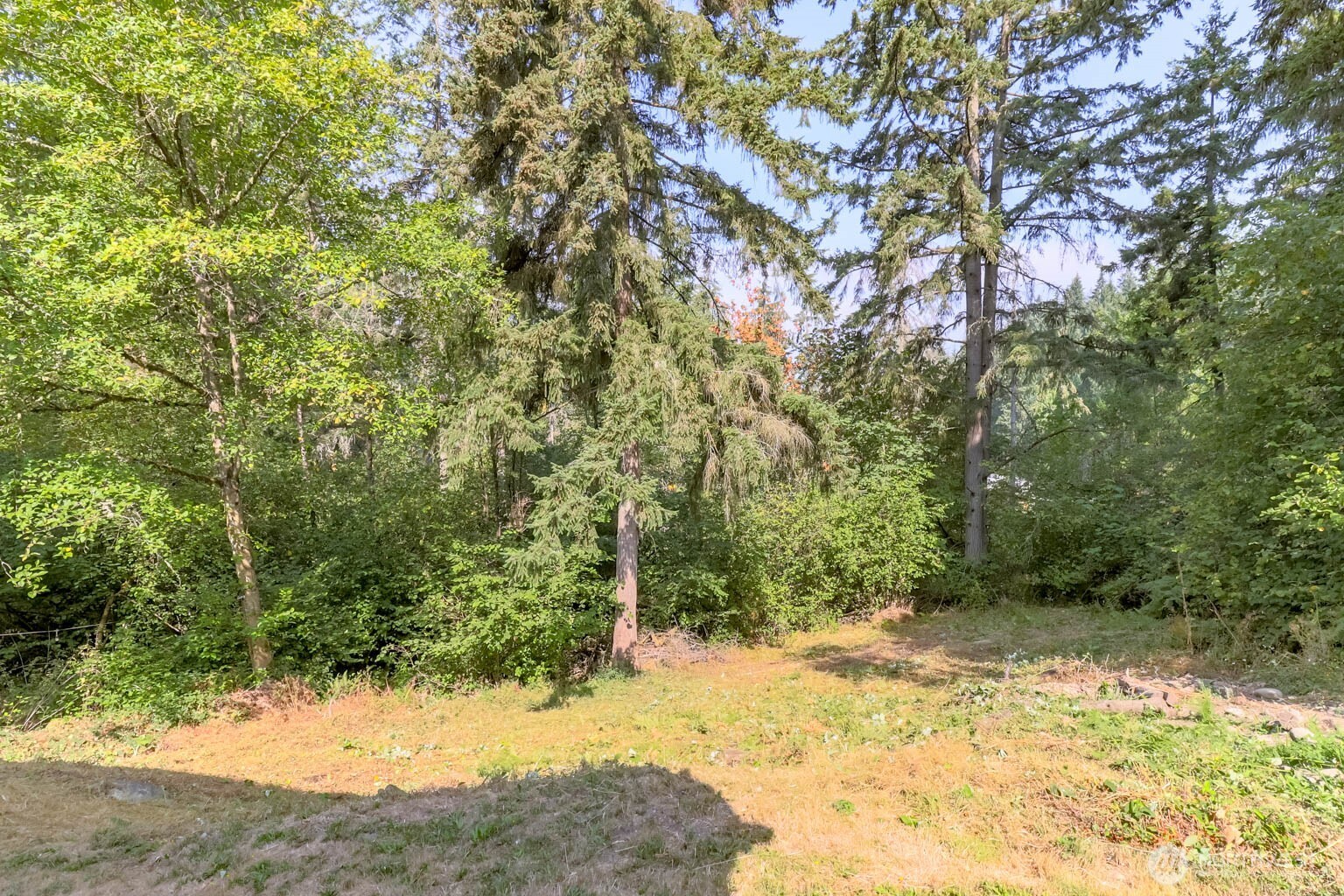 15918 41st Street Property Photo 34