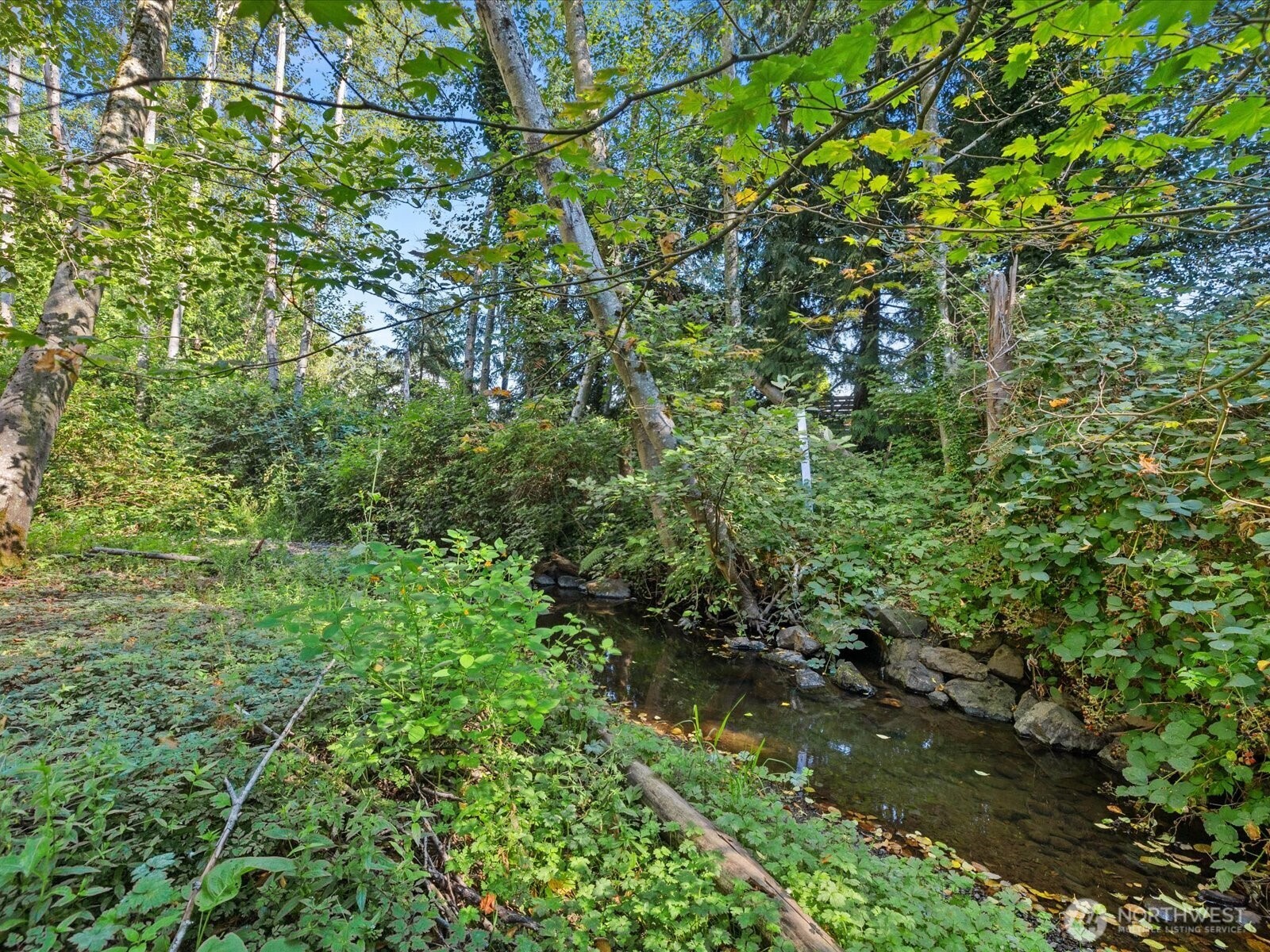 15216 23rd Place Property Photo 37