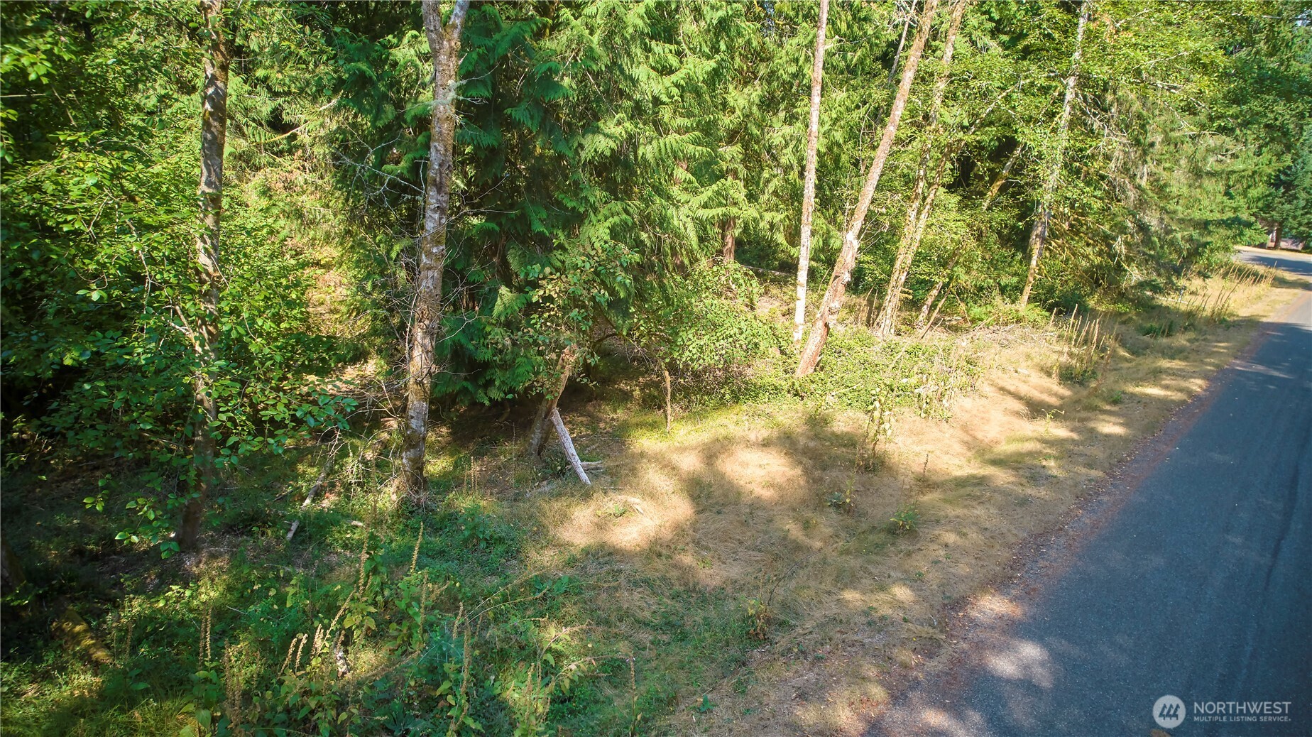 10114 Selma Circle Property Photo 2