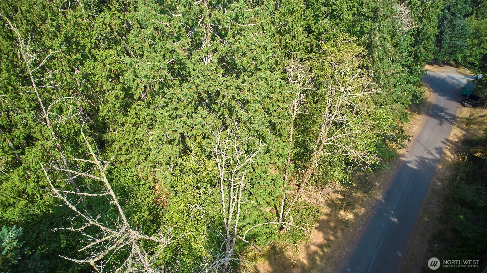 10114 Selma Circle Property Photo 3