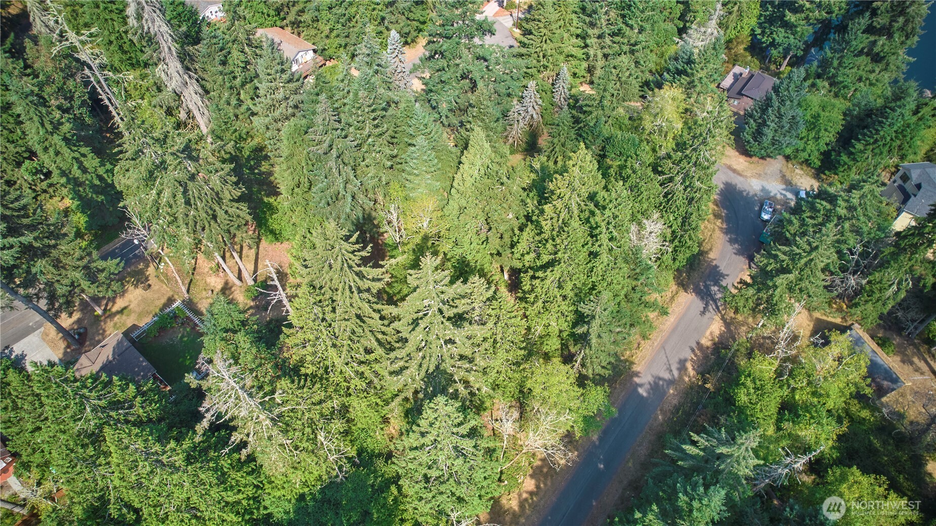 10114 Selma Circle Property Photo 4