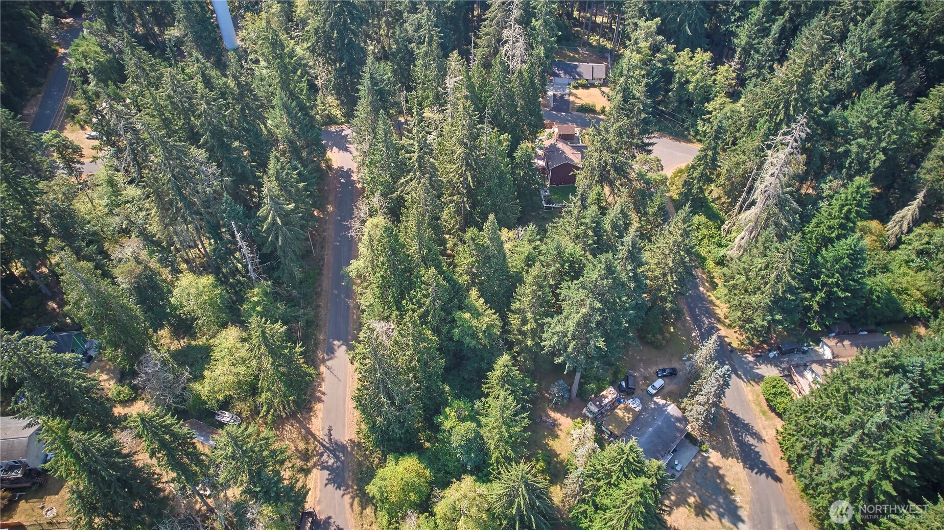 10114 Selma Circle Property Photo 12