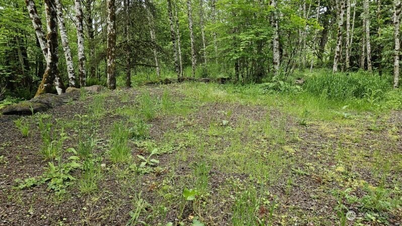 136 Peppermill Drive Property Photo 7