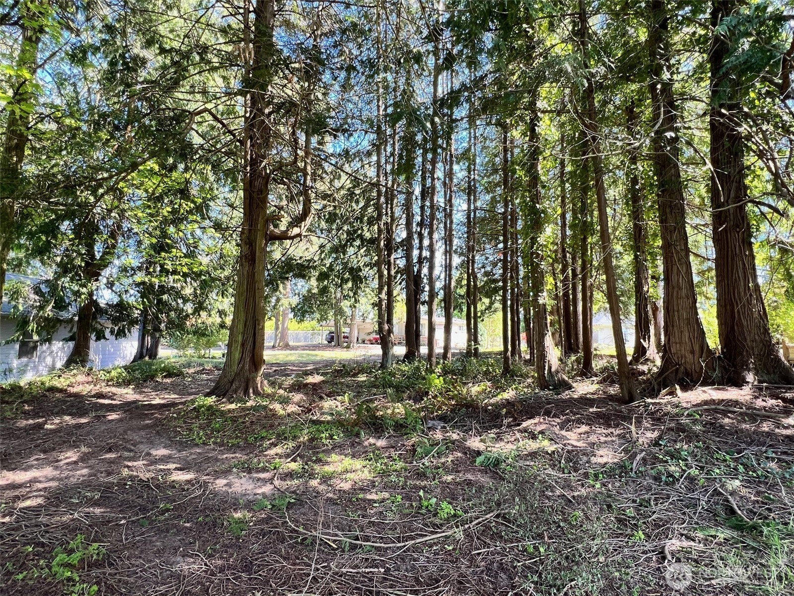 9999 Prater Place Lot 16 Property Photo 12