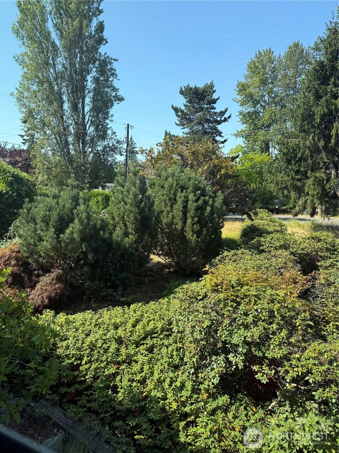 721 91st Avenue Lot 6 Property Photo 8