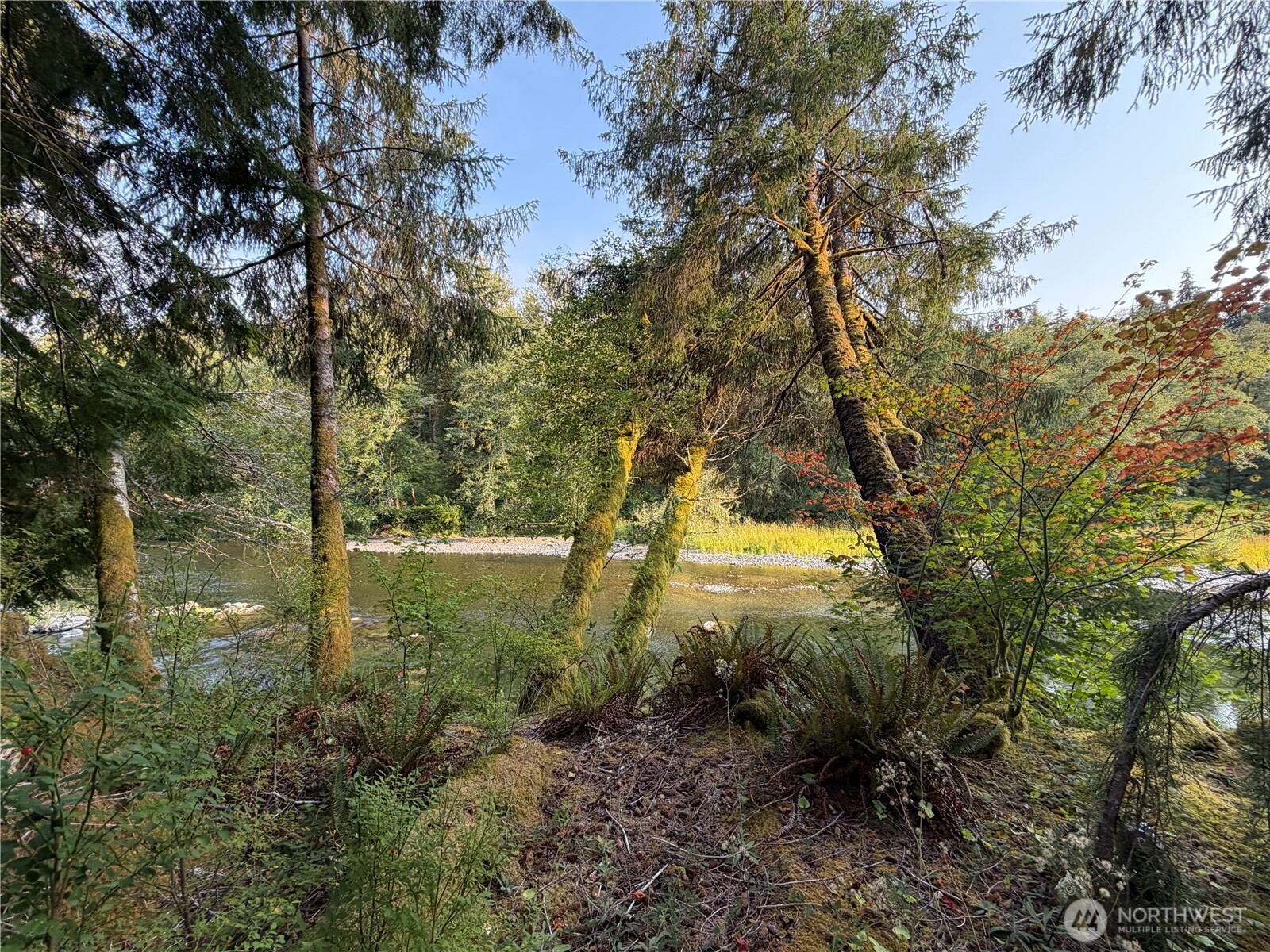 9999 Pleasant Meadows Lane Property Photo 14
