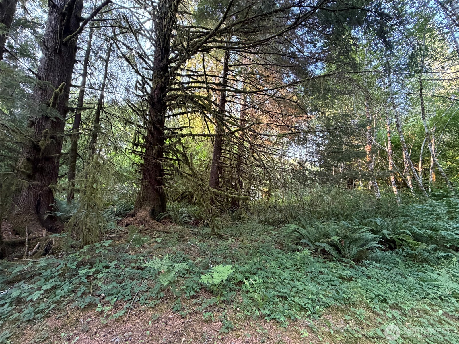 9999 Pleasant Meadows Lane Property Photo 17