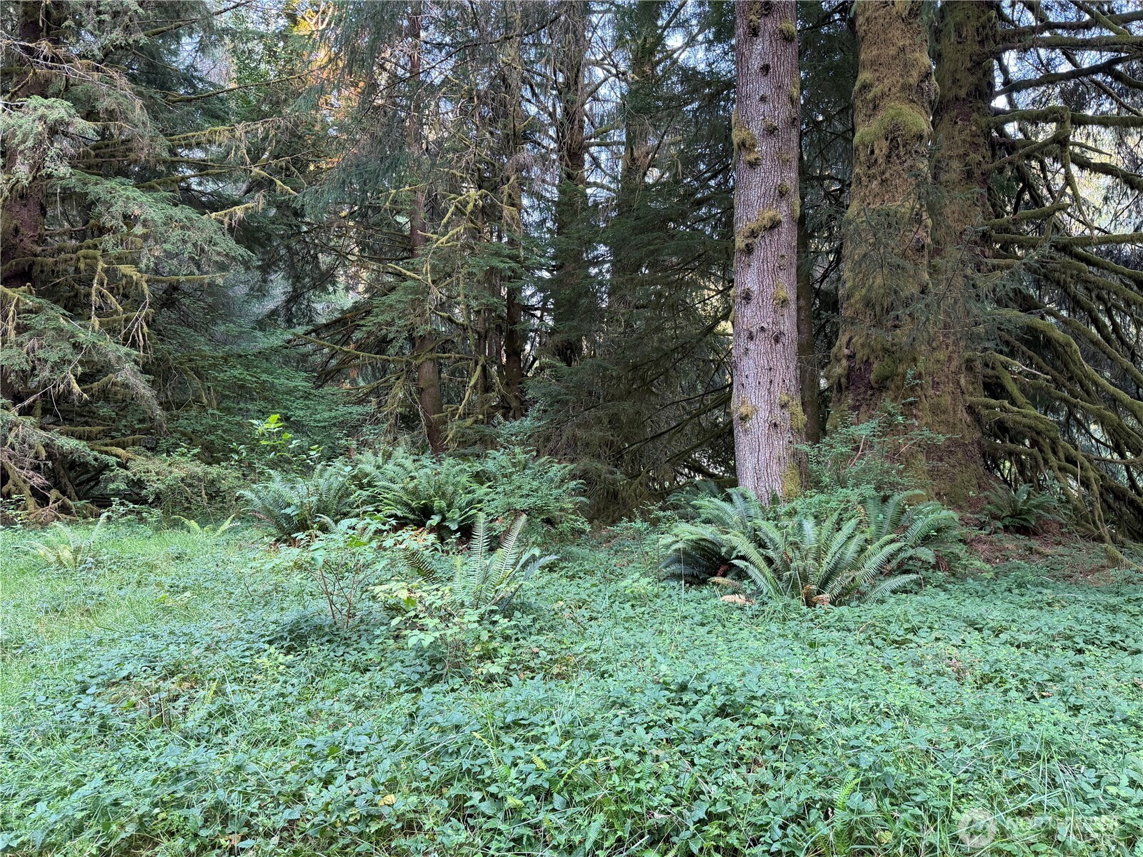 9999 Pleasant Meadows Lane Property Photo 18