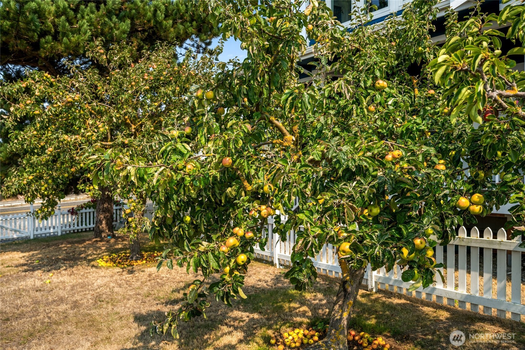 3962 Saltspring Drive Property Photo 4