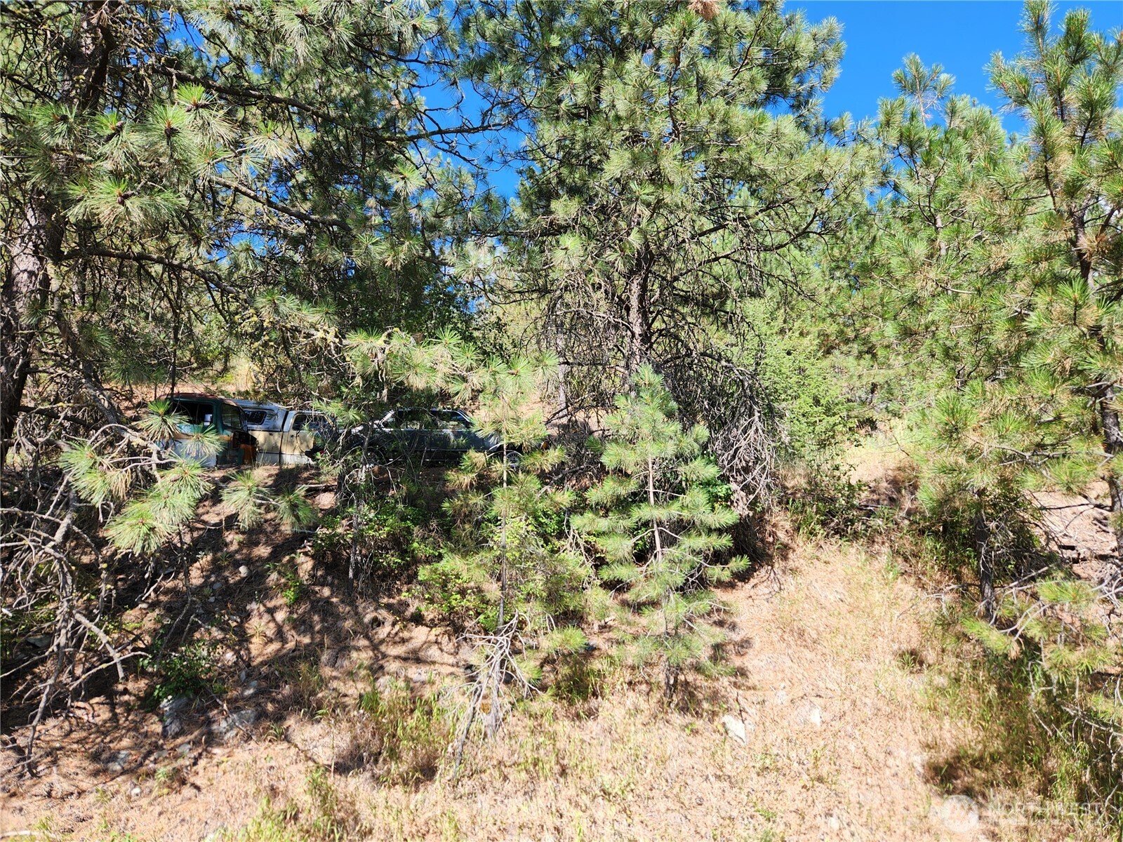 0 Lot 1 Klondike Road Property Photo 2