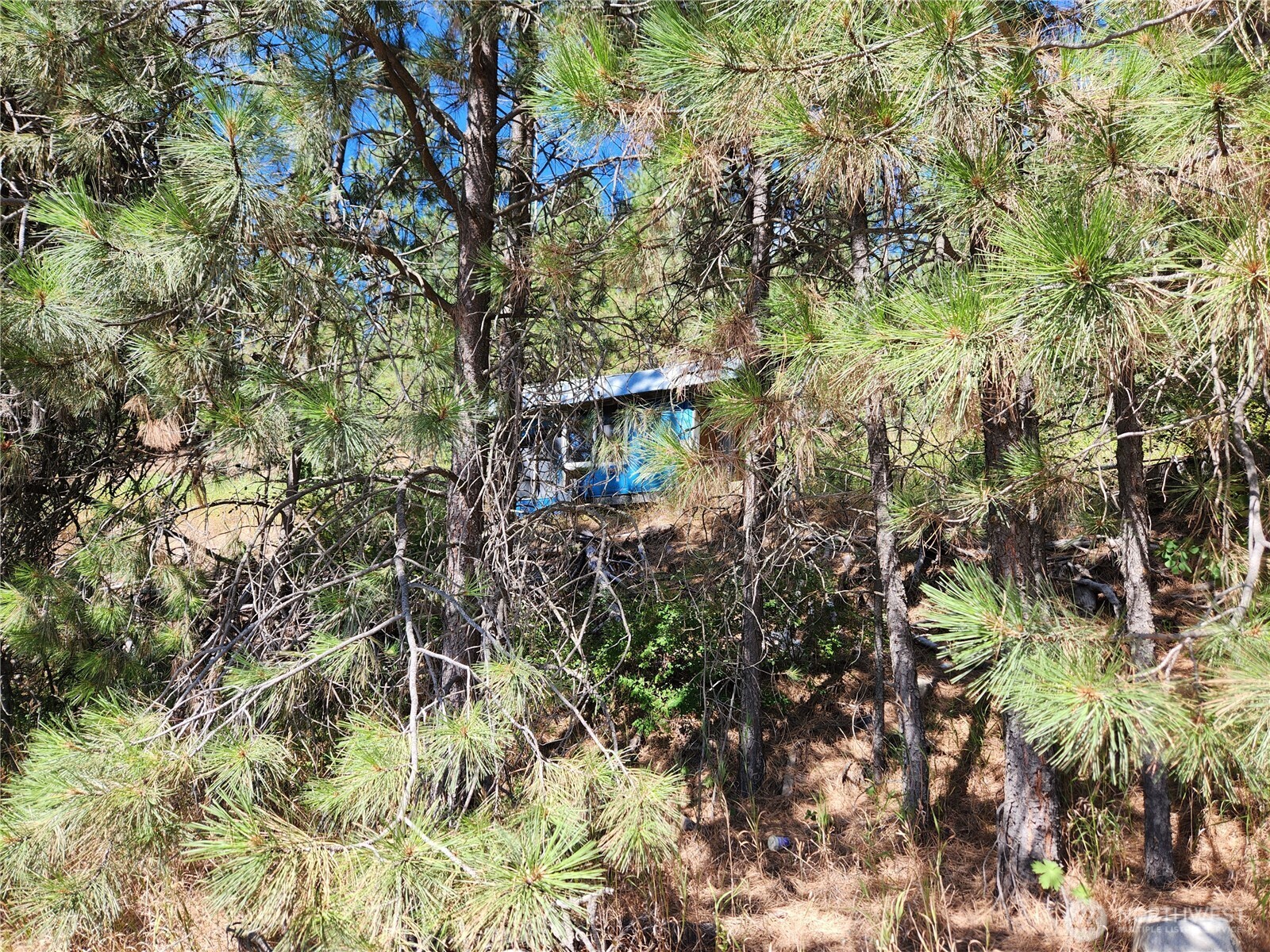 0 Lot 1 Klondike Road Property Photo 3