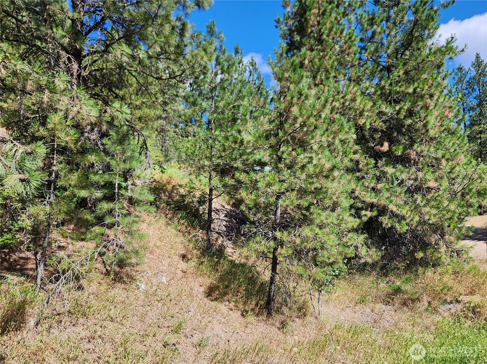 0 Lot 1 Klondike Road Property Photo 7
