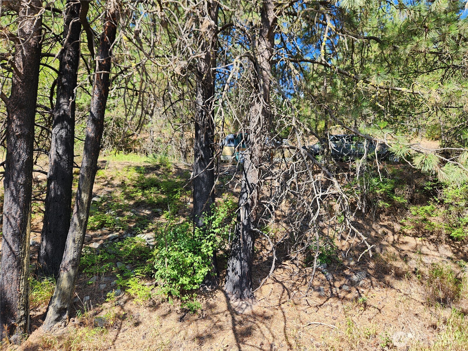 0 Lot 1 Klondike Road Property Photo 8