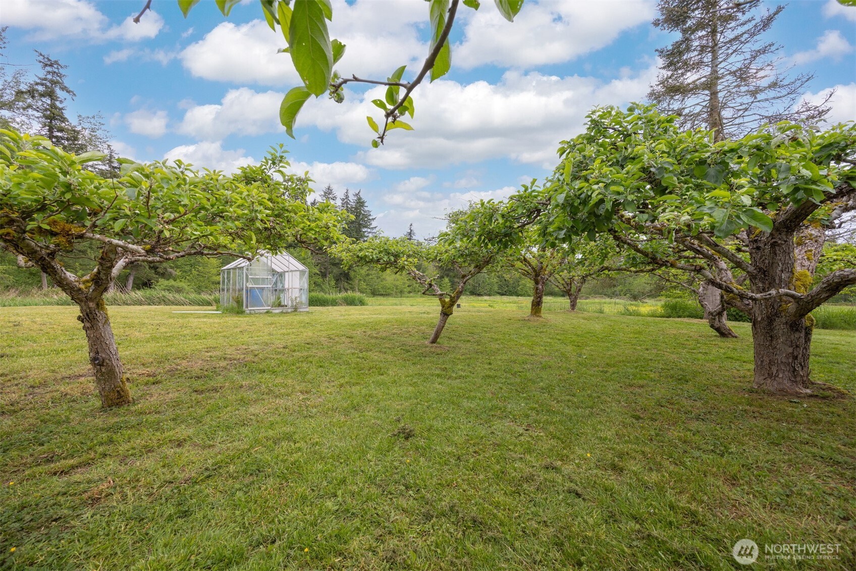 5581 Mission Road Property Photo 33