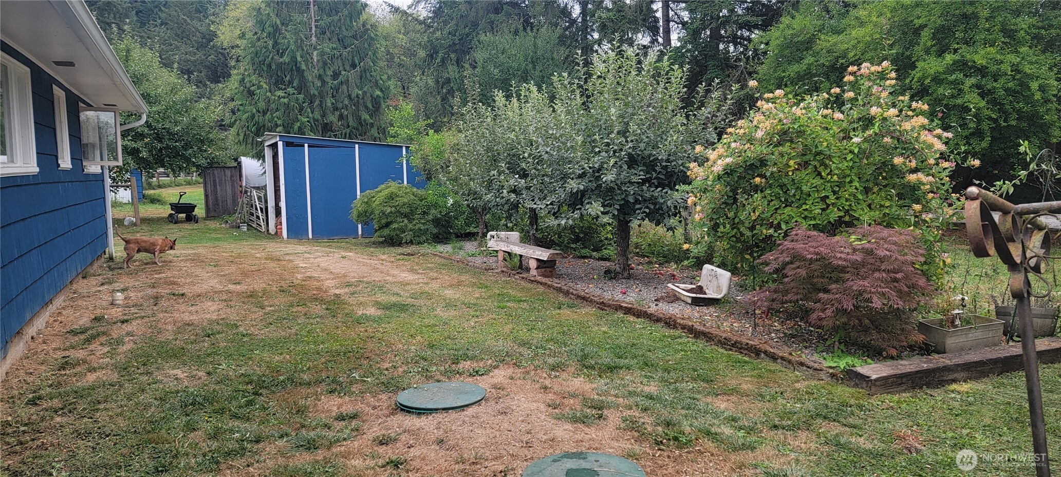 558 Coal Creek Road Property Photo 7