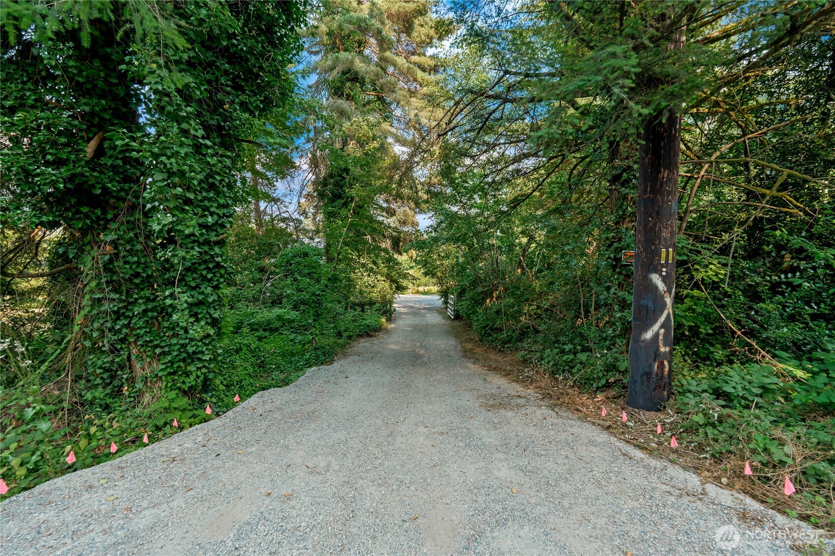 2570984 Property Photo 12
