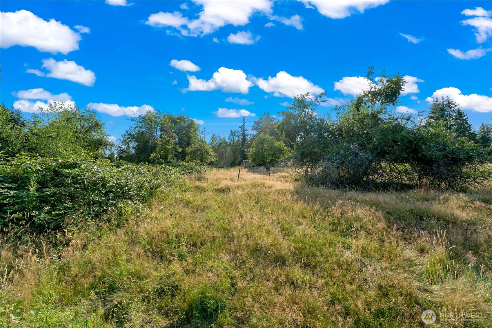 2570984 Property Photo 17