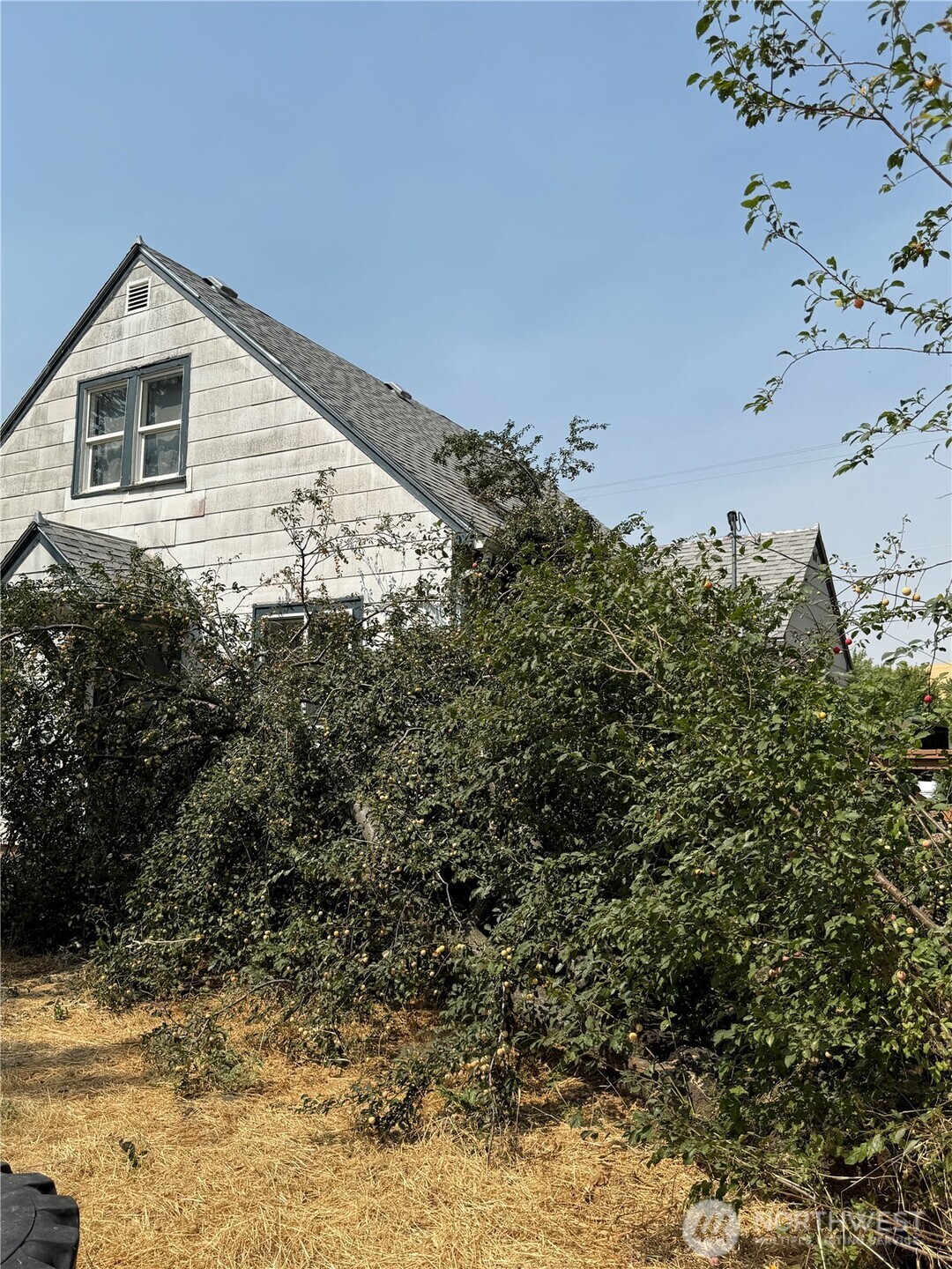 115 W 2nd Street Property Photo 19