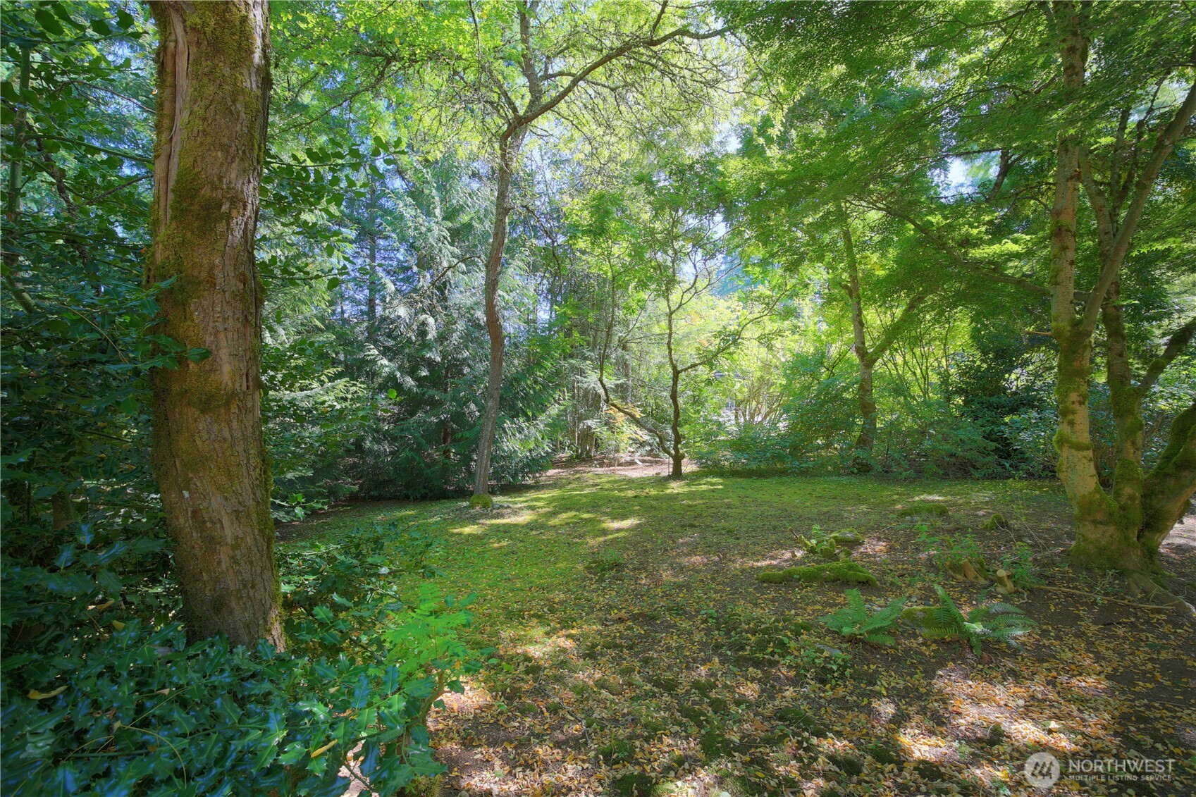 22104 49th Avenue Property Photo 5