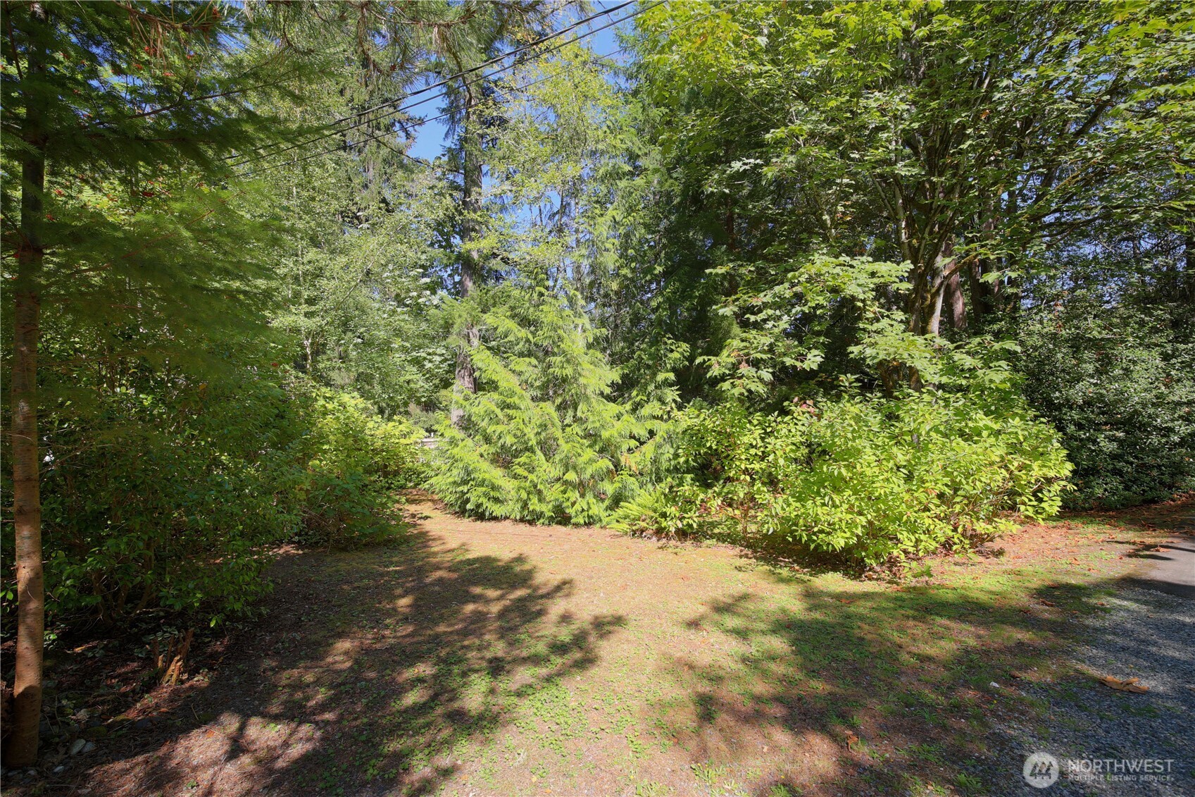 22104 49th Avenue Property Photo 6