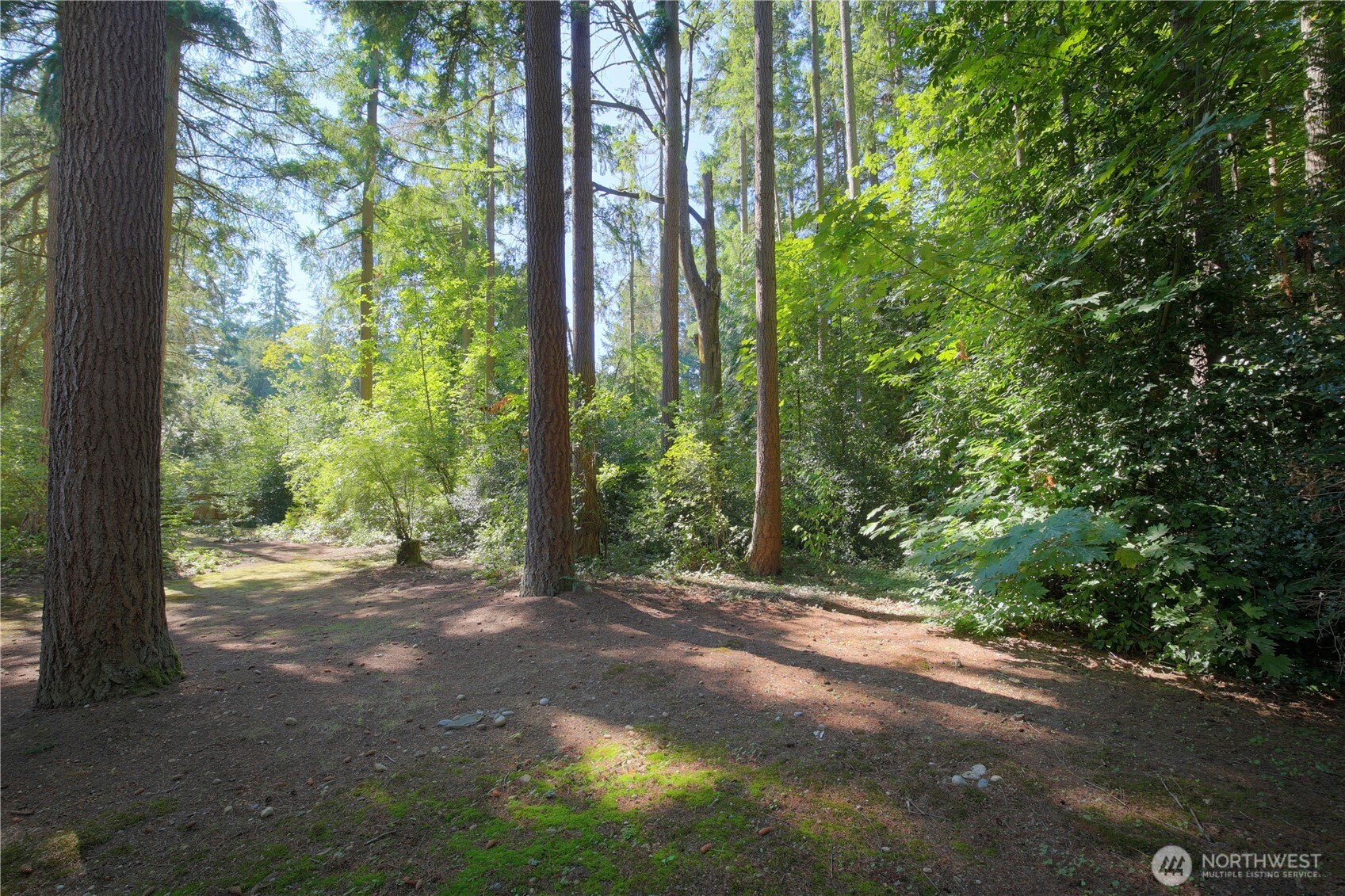 22104 49th Avenue Property Photo 27