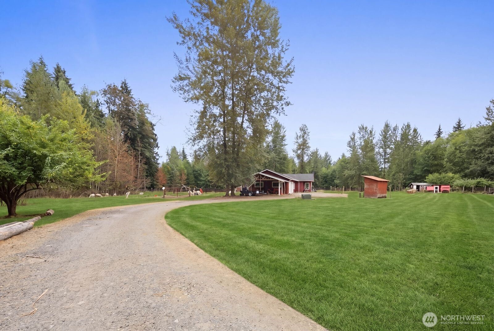 13724 Whites Road Property Photo 30