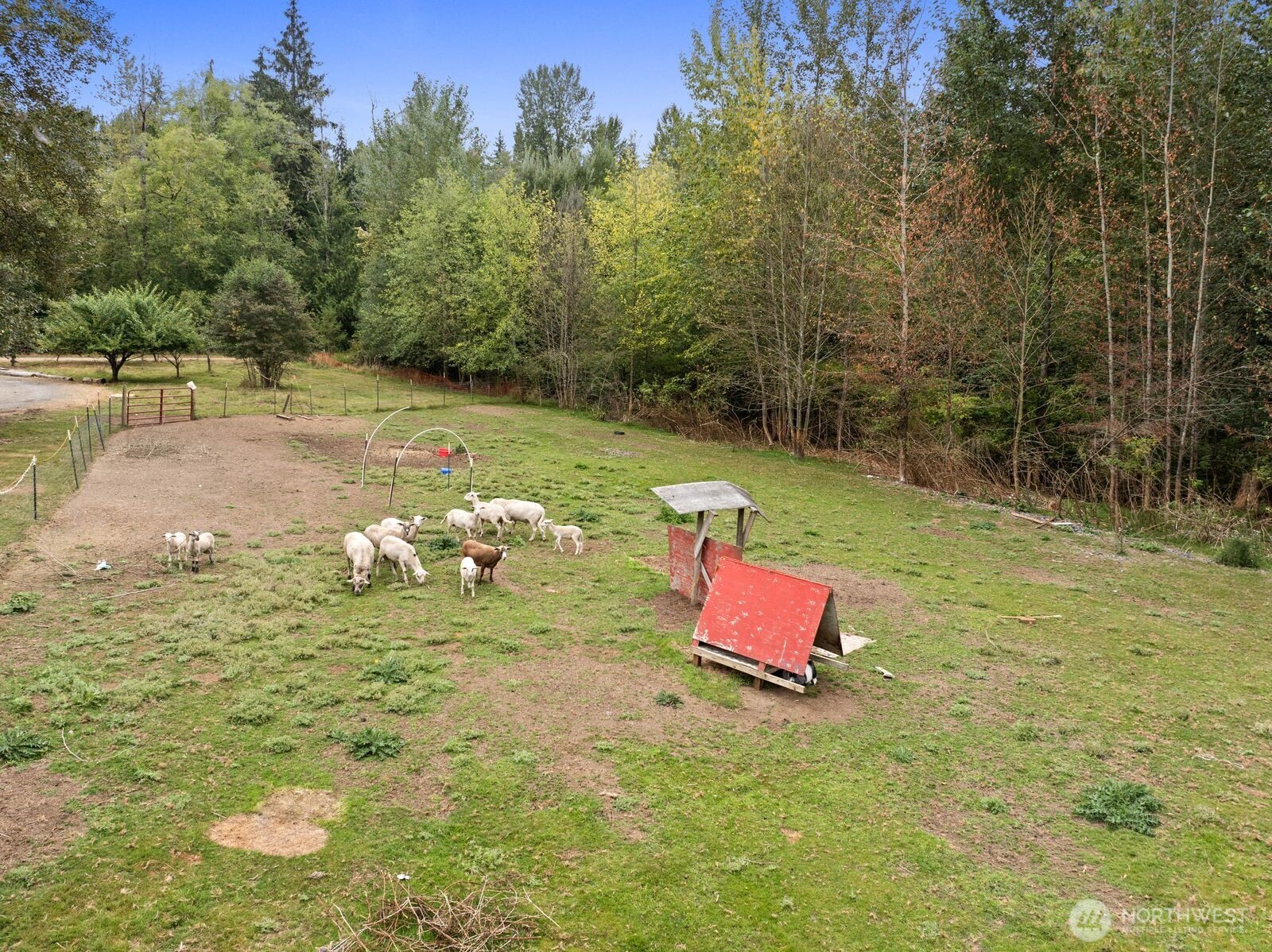 13724 Whites Road Property Photo 39